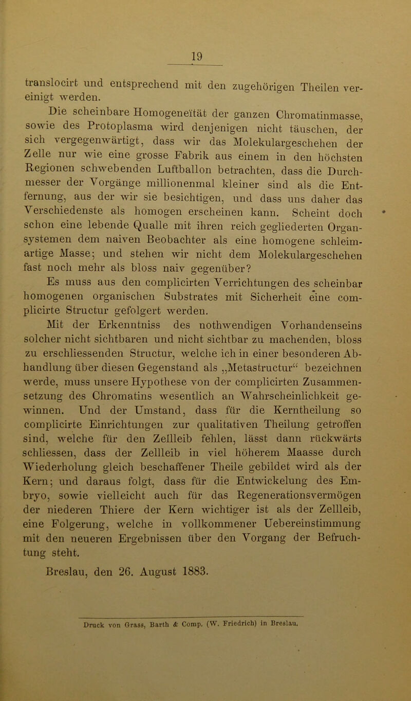 translocirt und entsprechend mit den zugehörigen Theilen ver- einigt werden. Die scheinbare Hoinogeneität der ganzen Chromatinmasse, sowie des Protoplasma wird denjenigen nicht täuschen, der sich vergegenwärtigt, dass wir das Molekulargeschehen der Zelle nur wie eine grosse Fabrik aus einem in den höchsten Regionen schwebenden Luftballon betrachten, dass die Durch- messer der Vorgänge millionenmal kleiner sind als die Ent- fernung, aus der wir sie besichtigen, und dass uns daher das Verschiedenste als homogen erscheinen kann. Scheint doch schon eine lebende Qualle mit ihren reich gegliederten Organ- systemen dem naiven Beobachter als eine homogene schleim- artige Masse 5 und stehen wir nicht dem Molekulargeschehen fast noch mehr als bloss naiv gegenüber? Es muss aus den complicirten Verrichtungen des scheinbar homogenen organischen Substrates mit Sicherheit eine com- plicirte Structur gefolgert werden. Mit der Erkenntniss des nothwendigen Vorhandenseins solcher nicht sichtbaren und nicht sichtbar zu machenden, bloss zu erschliessenden Structur, welche ich in einer besonderen Ab- handlung über diesen Gegenstand als „Metastructur“ bezeichnen werde, muss unsere Hypothese von der complicirten Zusammen- setzung des Chromatins wesentlich an Wahrscheinlichkeit ge- winnen. Und der Umstand, dass für die Kerntheilung so complicirte Einrichtungen zur qualitativen Theilung getroffen sind, welche für den Zellleib felilen, lässt dann rückwärts schliessen, dass der Zellleib in viel höherem Maasse durch Wiederholung gleich beschaffener Theile gebildet wird als der Kern 5 und daraus folgt, dass für die Entwickelung des Em- bryo, sowie vielleicht auch für das Regenerationsvermögen der niederen Thiere der Kern wichtiger ist als der Zellleib, eine Folgerung, welche in vollkommener Uebereinstimmung mit den neueren Ergebnissen über den Vorgang der Befruch- tung steht. Breslau, den 26. August 1883. Druck von Grass, Barth & Comp. (W. Friedrich) in Breslau.