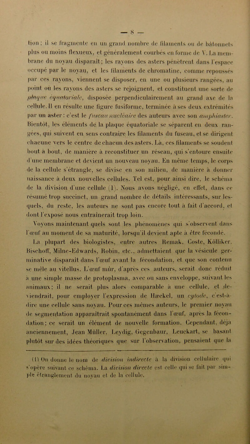 lion; il se fragmente en un grand nombre de filaments ou de bâtonnets plus ou moins flexueux, et généralement courbés en forme de V. La mem- brane du noyau disparaît; les rayons des asters pénètrent dans l’espace occupé par le noyau, et les filaments de chromatine, comme repoussés par ces rayons, viennent se disposer, en une ou plusieurs rangées, au point où les rayons des asters se rejoignent, et constituent une sorte de Iliaque équatoriale, disposée perpendiculairement au grand axe de la cellule. Il en résulte une figure fusiforme, terminée à ses deux extrémités par un aster : c’est le fuseau nucléaire des auteurs avec son arnjphiaster. Bientôt, les éléments de la plaque équatoriale se séparent en deux ran- gées. qui suivent en sens contraire les filaments du fuseau, et se dirigent chacune vers le centre de chacun des asters. Là, ces filaments se soudent bout à bout, de manière à reconstituer un réseau, qui s’entoure ensuite d'une membrane et devient un nouveau noyau. En même temps, le corps de la cellule s’étrangle, se divise eu son milieu, de manière à donner naissance à deux nouvelles cellules. Tel est, pour ainsi dire, le schéma de la division d’une cellule (1). Nous avons négligé, en effet, dans ce résumé trop succinct, un grand nombre de détails intéressants, sur les- quels, du reste, les auteurs ne sont pas encore tout à fait d'accord, et dont l’exposé nous entraînerait trop loin. Voyons maintenant quels sont les phénomènes qui s’observent dans l’œuf au moment de sa maturité, lorsqu’il devient apte à être féconde. La plupart des biologistes, entre autres Remak, Coste, Kôlliker. Bischoff, Milne-Edwards, Robin, etc., admettaient que la vésicule ger- minative disparaît dans l’œuf avant la fécondation, et que son contenu se mêle au vitellus. L’œuf mûr, d’après ces auteurs, serait donc réduit •à une simple masse de protoplasma, avec ou sans enveloppe, suivant les animaux; il ne serait plus alors comparable à une cellule, et ,dc- \iendrait, pour employer l’expression de IJæekel. un cylocle, c'est-à- dire une cellule sans noyau. Pour ces mêmes auteurs, le premier noyau de segmentation apparaîtrait spontanément dans l’œuf, après la fécon- dation; ce serait un élément de nouvelle formation. Cependant, déjà anciennement, Jean Millier, Leydig, Gegenbaur, Leuckart. se basant plutôt sur des idées théoriques que sur l’observation, pensaient que la ( h Un donne le nom de division indirecte s'opère suivant ce schéma. La division directe pie étranglement du noyau et de la cellule. à la division cellulaire qui est celle qui se fait par sim-