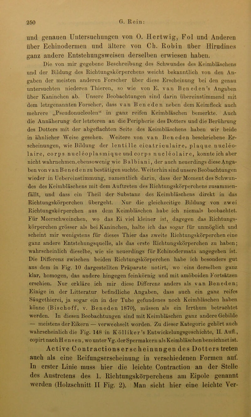und genauen Untersuchungen von 0. liertwig, Fol und Anderen über Echinodernien und ältere von Ch. Robin über Hirudines ganz andere Entstehungsweisen derselben erwiesen haben. Die von mir gegebene Beschreibung des Schwundes des Keimbläschens und der Bildung des Richtungskörperchens weicht bekanntlich von den An- gaben der meisten anderen Forscher über diese Erscheinung bei den genau untersuchten niederen Thieren, so wie von E. van Beneden’s Angaben über Kaninchen ab. Unsere Beobachtungen sind darin übereinstimmend mit dem letzgenannten Forscher, dass van Bene den neben dem Keim fleck auch mehrere „Pseudonucleolen“ in ganz reifen Keimbläschen bemerkte. Auch die Annäherung der letzteren an die Peripherie des Dotters und die Berührung des Dotters mit der abgeflachten Seite des Keimbläschens haben wir beide in ähnlicher Weise gesehen. Weitere von van Beneden beschriebene Er- scheinungen, wie Bildung der lentille cicatriculaire, plaque nucleo- laire, corps nucleoplasmique und corps nucleolaire, konnte ich aber nicht wahrnehmen, ebensowenig wie Balbiani, der auch neuerdings diese Anga- ben von vanBenedenzu bestätigen suchte. Weiterhin sind unsere Beobachtungen wieder in Uebereinstimmung, namentlich darin, dass der Moment des Schwun- des des Keimbläschens mit dem Auftreten des Richtungskörperchens zusammen- fällt, und dass ein Theil der Substanz des Keimbläschens direkt in das Richtungskörperchen übergeht. Nur die gleichzeitige Bildung von zwei Richtungskörperchen aus dem Keimbläschen habe ich niemals beobachtet. Für Meerschweinchen, wo das Ei viel kleiner ist, dagegen das Richtungs- körperchen grösser als bei Kaninchen, halte ich das sogar für unmöglich und scheint mir wenigstens für dieses Thier das zweite Richtungskörperchen eine ganz andere Entstehungsquelle, als das erste Richtungskörperchen zu haben; wahrscheinlich dieselbe, wie sie neuerdings für Echinodermata angegeben ist. Die Differenz zwischen beiden Richtungskörperchen habe ich besonders gut aus dem in Fig. 10 dargestellten Präparate notirt, wo eins derselben ganz klar, homogen, das andere hingegen feinkörnig und mit amöboiden Fortsätzen erschien. Nur erkläre ich mir diese Differenz anders als van Beneden; Einige in der Litteratur befindliche Angaben, dass auch ein ganz reifes Säugethierei, ja sogar ein in der Tube gefundenes noch Keimbläschen haben könne (Bischoff, v. Beneden 1870), müssen als ein h’rthum betrachtet werden. In diesen Beobachtungen sind mit Keimbläschen ganz andere Gebilde — meistens der Eikern — verwechselt worden. Zu dieser Kategorie gehört auch wahrscheinlich die Fig. 148 in Kölliker’s Entwickelungsgeschichte, II. Aufl., copirt nachH ensen, wo unter Vg. der Spermakern als Keimbläschen bezeichnet ist. Active Contractionserscheinungendes Dotters treten auch als eine Reifungserscbeinung in verschiedenen Formen auf. In erster Linie muss hier die leichte Contraction an der Stelle des Austretens des 1. Richtungskörperchens am Eipole genannt werden (Holzschnitt II Fig. 2). Man sieht hier eine leichte Ver-