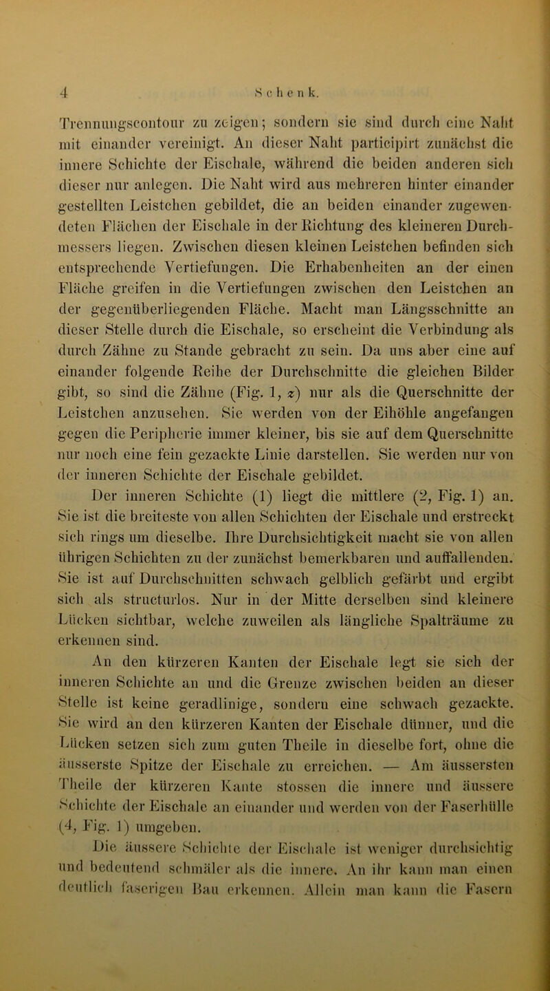 Trennungscontour zu zeigen; sondern sie sind durch eine Naht mit einander vereinigt. An dieser Naht participirt zunächst die innere Schichte der Eischale, während die beiden anderen sich dieser nur anlcgcn. Die Naht wird aus mehreren hinter einander gestellten Leistchen gebildet, die an beiden einander zugewen- deten Flächen der Eischale in der Richtung des kleineren Durch- messers liegen. Zwischen diesen kleinen Leistchen befinden sich entsprechende Vertiefungen. Die Erhabenheiten an der einen Fläche greifen in die Vertiefungen zwischen den Leistchen an der gegenüberliegenden Fläche. Macht man Längsschnitte an dieser Stelle durch die Eischale, so erscheint die Verbindung als durch Zähne zu Stande gebracht zu sein. Da uns aber eine auf einander folgende Reihe der Durchschnitte die gleichen Bilder gibt, so sind die Zähne (Fig. 1, z) nur als die Querschnitte der Leistchen anzusehen. Sie werden von der Eihöhle angefangen gegen die Peripherie immer kleiner, bis sie auf dem Querschnitte nur noch eine fein gezackte Linie darstellen. Sie werden nur von der inneren Schichte der Eischale gebildet. Der inneren Schichte (1) liegt die mittlere (2, Fig. 1) an. Sie ist die breiteste von allen Schichten der Eischale und erstreckt sich rings um dieselbe. Ihre Durchsichtigkeit macht sie von allen übrigen Schichten zu der zunächst bemerkbaren und auffallenden. Sie ist auf Durchschnitten schwach gelblich gefärbt und ergibt sich als structurlos. Nur in der Mitte derselben sind kleinere Lücken sichtbar, welche zuweilen als längliche Spalträume zu erkennen sind. An den kürzeren Kanten der Eischale legt sie sich der inneren Schichte an und die Grenze zwischen beiden an dieser Stelle ist keine geradlinige, sondern eine schwach gezackte. Sie wird an den kürzeren Kanten der Eischale dünner, und die Lücken setzen sich zum guten Theile in dieselbe fort, ohne die iiusserste Spitze der Eischale zu erreichen. — Am äussersten Theile der kürzeren Kante stossen die innere und äussere Schichte der Eischale an einander und werden von der Faserhülle (4, Fig. 1) umgeben. Die äussere Schichte der Eischale ist weniger durchsichtig und bedeutend schmäler als die innere. An ihr kann man einen deutlich faserigen Bau erkennen. Allein man kann die Fasern