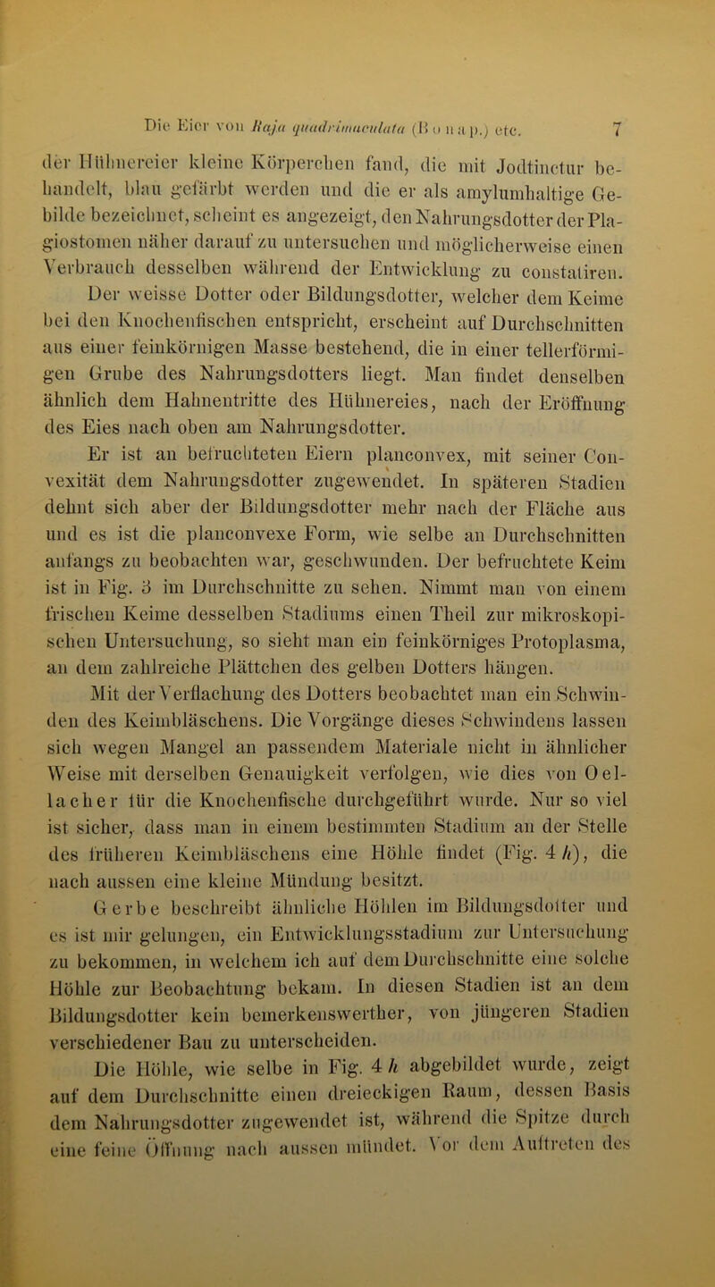 der Hühnereier kleine Körperchen fand, die mit Jodtinctur be- handelt, blau gefärbt werden und die er als amylumhaltige Ge- bilde bezeichnet, scheint es angezeigt, den Nahrungsdotter der Pla- giostoinen näher darauf zu untersuchen und möglicherweise einen Verbrauch desselben während der Entwicklung zu constatiren. Der weisse Dotter oder Bildungsdotter, welcher dem Keime bei den Knochentischen entspricht, erscheint auf Durchschnitten aus einer feinkörnigen Masse bestehend, die in einer tellerförmi- gen Grube des Nahrungsdotters liegt. Man findet denselben ähnlich dem Hahnentritte des Hühnereies, nach der Eröffnung des Eies nach oben am Nahrungsdotter. Er ist an befruchteten Eiern planconvex, mit seiner C011- vexität dem Nahrungsdotter zugewendet. In späteren Stadien dehnt sich aber der Bildungsdotter mehr nach der Fläche aus und es ist die planconvexe Form, wie selbe an Durchschnitten anfangs zu beobachten war, geschwunden. Der befruchtete Keim ist in Fig. 6 im Durchschnitte zu sehen. Nimmt man von einem frischen Keime desselben Stadiums einen Theil zur mikroskopi- schen Untersuchung, so sieht man ein feinkörniges Protoplasma, an dem zahlreiche Plättchen des gelben Dotters hängen. Mit der Verflachung des Dotters beobachtet man ein Schwin- den des Keimbläschens. Die Vorgänge dieses Schwindens lassen sich wegen Mangel an passendem Materiale nicht in ähnlicher Weise mit derselben Genauigkeit verfolgen, wie dies von Oel- laclier lür die Knochenfische durchgeführt wurde. Nur so viel ist sicher, dass man in einem bestimmten Stadium an der Stelle des früheren Keimbläschens eine Höhle findet (Fig. 4/t), die nach aussen eine kleine Mündung besitzt. Gerbe beschreibt ähnliche Höhlen im Bildungsdotter und es ist mir gelungen, ein Entwicklungsstadium zur Untersuchung zu bekommen, in welchem ich auf dem Durchschnitte eine solche Höhle zur Beobachtung bekam. In diesen Stadien ist an dem Bildungsdotter kein bemerkenswerther, von jüngeren Stadien verschiedener Bau zu unterscheiden. Die Höhle, wie selbe in Fig. 4 Zt abgebildet wurde, zeigt auf dem Durchschnitte einen dreieckigen Raum, dessen Basis dem Nahrungsdotter zugewendet ist, während die Spitze durch eine feine Öffnung nach aussen mündet. \ or dem Auftieten des