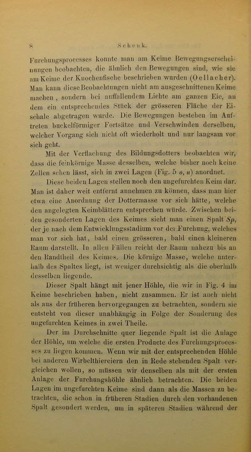 Furchungsprocesses konnte man am Keime Bewegung,serschei- limigen beobachten, die ähnlich den Bewegungen sind, wie sie am Keime der Knochenfische beschrieben wurden (Oellacher). Man kann diese Beobachtungen nicht am ausgeschnittenen Keime machen , sondern bei auffallendem Lichte am ganzen Eie, an dem ein entsprechendes Stück der grösseren Fläche der Ei- schale abgetragen wurde. Die Bewegungen bestehen im Auf- treten buckelförmiger Fortsätze und Verschwinden derselben, welcher Vorgang sich nicht oft wiederholt und nur langsam vor sich geht. Mit der Verflachung des Bildungsdotters beobachten wir, dass die feinkörnige Masse desselben, welche bisher noch keine Zellen sehen lässt, sich in zwei Lagen (Fig. 5 o, u) anordnet. Diese beiden Lagen stellen noch den ungefurchten Keim dar. Man ist daher weit entfernt annehmen zu können, dass man hier etwa eine Anordnung der Dottermasse vor sich hätte, welche den angelegten Keimblättern entsprechen würde. Zwischen bei- den gesonderten Lagen des Keimes sieht man einen Spalt Sp, der je nach dem Entwicklungsstadium vor der Furchung, welches rnan vor sich hat, bald einen grösseren, bald einen kleineren Baum darstellt. In allen Fällen reicht der Baum nahezu bis an den Bandtlieil des Keimes. Die körnige Masse, welche unter- halb des Spaltes liegt, ist weniger durchsichtig als die oberhalb desselben liegende. Dieser Spalt hängt mit jener Höhle, die wir in Fig. 4 im Keime beschrieben haben, nicht zusammen. Er ist auch nicht als aus der früheren hervorgegangen zu betrachten, sondern sie entsteht von dieser unabhängig in Folge der Sonderung des im gefurchten Keimes in zwei Theile. Der im Durchschnitte quer liegende Spalt ist die Anlage der Höhle, um welche die ersten Producte des Furchungsproces- ses zu liegen kommen. Wenn wir mit der entsprechenden Höhle bei anderen Wirbelthiereiern den in Rede stehenden Spalt ver- gleichen wollen, so müssen wir denselben als mit der ersten Anlage der Furchungshöhle ähnlich betrachten. Die beiden Lagen im ungefurchten Keime sind dann als die Massen zu be- trachten, die schon in früheren Stadien durch den vorhandenen Spalt gesondert werden, um in späteren Stadien während der