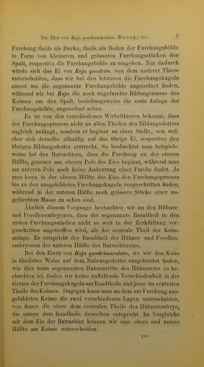 Furchung theils als Decke, tlicils als Boden der Furchungshöhle in Form von kleineren und grösseren Furchungsstücken den Spalt, respcctivc die Furchungshöhle zu umgeben. Nur dadurch würde sich das Ei von Raja quadrirn. von dem anderer Thiere unterscheiden, dass wir bei den letzteren die Furchungskugeln zuerst um die sogenannte Furchungshöhle angeordnet finden, während wir bei Raja die noch ungefurchte Bildungsmasse des Keimes um den Spalt, beziehungsweise die erste Anlage der Furchungshöhle, angeordnet sehen. Es ist von den verschiedenen Wirbelthieren bekannt, dass der Furchungsprocess nicht an allen Theilen des Bildungsdotters zugleich anfängt, sondern er beginnt an einer Stelle, von wel- cher sich derselbe allmälig auf das übrige Ei, respective den übrigen Bildungsdotter erstreckt. So beobachtet man beispiels- weise bei den Batrachiern, dass die Furchung an der oberen Hälfte, genauer am oberen Pole des Eies beginnt, während man am unteren Pole noch keine Andeutung einer Furche findet. Ja man kann in der oberen Hälfte des Eies den Furchungsprocess bis zu den ausgebildeten Furchungskugeln vorgeschritten finden, während in der unteren Hälfte noch grössere Stücke einer un- gefurchten Masse zu sehen sind. Ähnlich diesem Vorgänge beobachten wir an den Hühner- und Forellenembryoncn, dass der sogenannte Basaltheil in den ersten Furchungsstadien nicht so weit in der Zerklüftung vor- geschritten angetrotfen wird, als der centrale Theil der Keim- anlage. Es entspricht der Basaltheil der Hühner- und Forellen- embryonen der unteren Hälfte des Batrachiereies. Bei den Eiern von Raja quadrimacidata, wo wir den Keim in ähnlicher Weise auf dem Nahrungsdotter ausgebreitet finden, wie dies beim sogenannten Hahnentritte des Hühnereies zu be- obachten ist, finden wir keine auffallende Verschiedenheit in der Grösse der Furchungskugeln am Randtheile und jener im centralen Tlieile des Keimes. Dagegen kann man an dem zur Furchung aus- gebildeten Keime die zwei verschiedenen Lagen unterscheiden, von denen die obere dem centralen Tlieile des Hühnerembryo, die untere dem Bandheile desselben entspricht. Im Vergleiche mit dem Eie der Batrachier können wir eine obere und untere Hälfte am Keime unterscheiden.