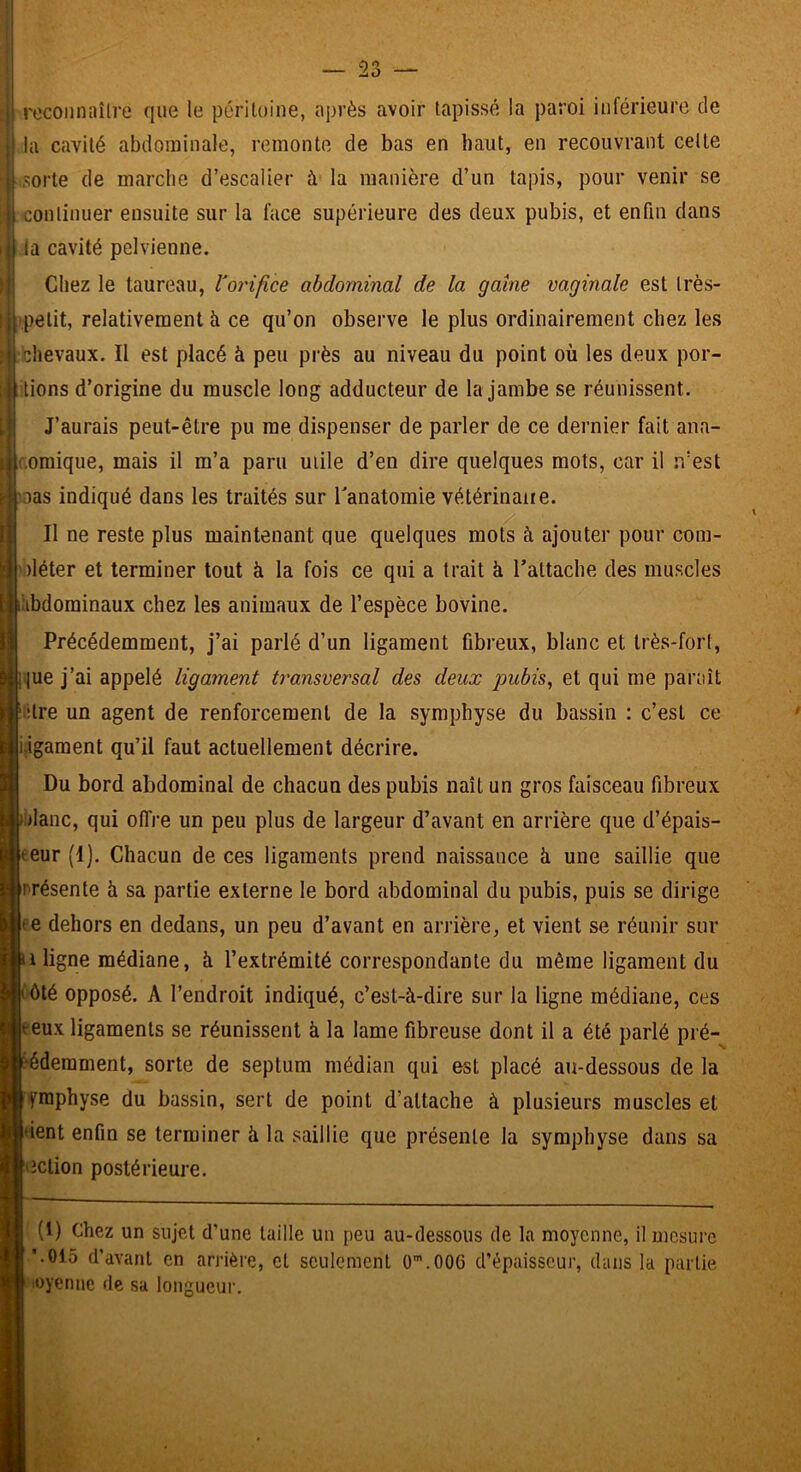 î recoiinaîlre que le pcriloine, après avoir tapissé la paroi inférieure de la cavité abdominale, remonte de bas en haut, en recouvrant celle sorte de marclie d’escalier à la manière d’un tapis, pour venir se ji continuer ensuite sur la face supérieure des deux pubis, et enfin dans li la cavité pelvienne. Chez le taureau, Vorifice abdominal de la gaine vaginale est très- petit, relativement à ce qu’on observe le plus ordinairement chez les JI chevaux. Il est placé à peu près au niveau du point où les deux por- tions d’origine du muscle long adducteur de la jambe se réunissent. J’aurais peut-être pu me dispenser de parler de ce deimier fait ana- ( oraique, mais il m’a paru utile d’en dire quelques mots, car il n’est ’.Das indiqué dans les traités sur Tanatomie vétérinaire. Il ne reste plus maintenant que quelques mots à ajouter pour com- iléter et terminer tout à la fois ce qui a trait à l’attache des muscles iibdominaux chez les animaux de l’espèce bovine. Précédemment, j’ai parlé d’un ligament fibreux, blanc et Irès-forl, ^ |ue j’ai appelé ligament transversal des deux pubis, et qui me paraît •Ire un agent de renforcement de la symphyse du bassin : c’est ce kigament qu’il faut actuellement décrire. Du bord abdominal de chacun des pubis naît un gros faisceau fibreux liane, qui offre un peu plus de largeur d’avant en arrière que d’épais- eeur (I). Chacun de ces ligaments prend naissance ù une saillie que rrésente à sa partie externe le bord abdominal du pubis, puis se dirige ee dehors en dedans, un peu d’avant en arrière, et vient se réunir sur 1 ligne médiane, à l’extrémité correspondante du même ligament du Il ôté opposé. A l’endroit indiqué, c’est-à-dire sur la ligne médiane, ces eeux ligaments se réunissent à la lame fibreuse dont il a été parlé pré- ‘éderament, sorte de septum médian qui est placé au-dessous de la yraphyse du bassin, sert de point d’attache à plusieurs muscles et dent enfin se terminer à la saillie que présente la symphyse dans sa iction postérieure. (l) Chez un sujet d’une taille un peu au-dessous de la moyenne, il mesure ’.015 d’avant en arrière, et seulement O^.OOG d’épaisseur, dans la partie loyenne de sa longueui'.