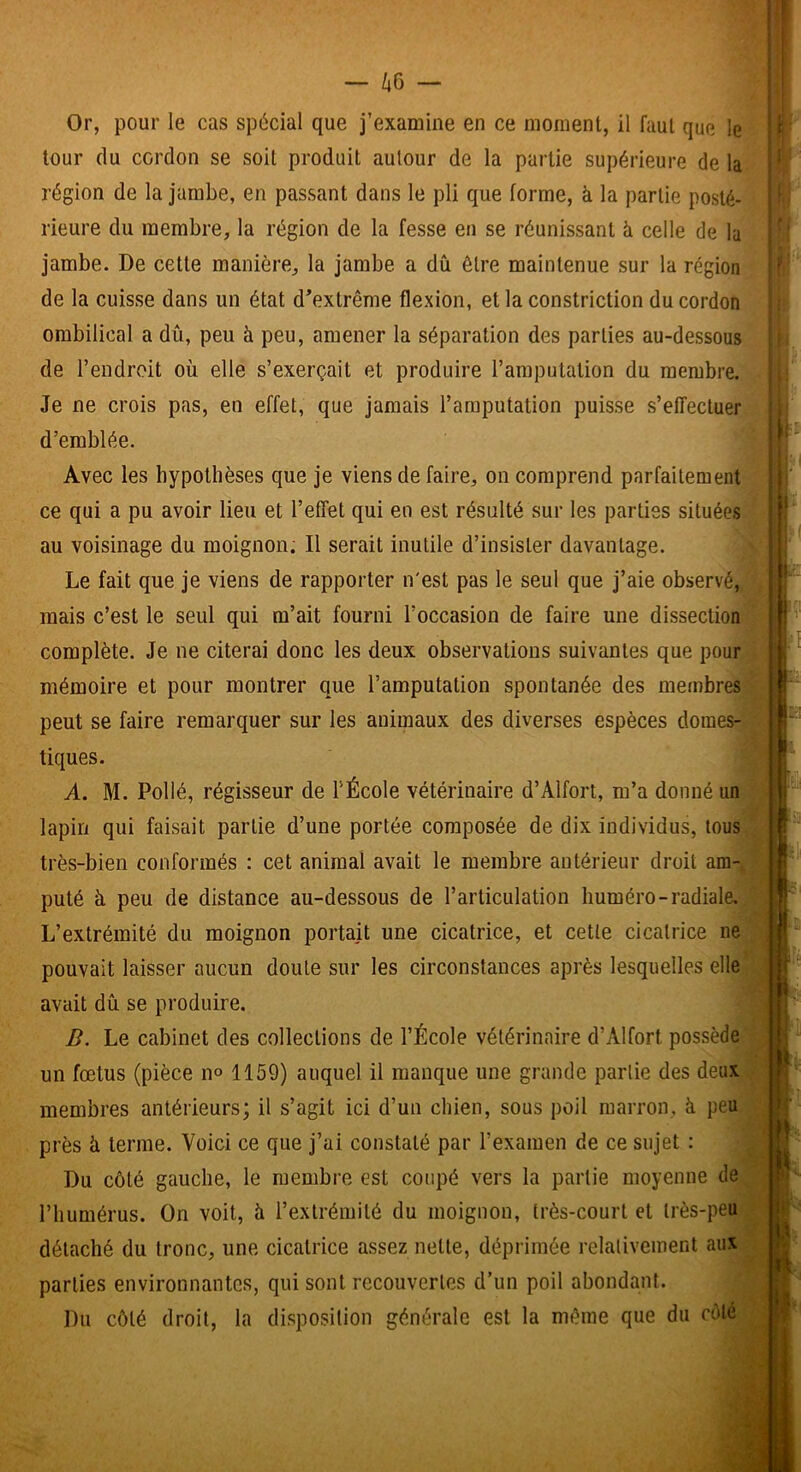 Or, pour le cas spécial que j’examine en ce moment, il faut que le tour du cordon se soit produit autour de la partie supérieure de la région de la jambe, en passant dans le pli que forme, à la partie posté- rieure du membre, la région de la fesse en se réunissant h celle de la jambe. De cette manière, la jambe a dû être maintenue sur la région de la cuisse dans un état d’extrême flexion, et la constriction du cordon ombilical a dû, peu à peu, amener la séparation des parties au-dessous de l’endroit où elle s’exerçait et produire l’amputation du membre. Je ne crois pas, en effet, que jamais l’amputation puisse s’effectuer d’emblée. Avec les hypothèses que je viens de faire, on comprend parfaitement ce qui a pu avoir lieu et l’effet qui en est résulté sur les parties situées au voisinage du moignon; Il serait inutile d’insister davantage. Le fait que je viens de rapporter n'est pas le seul que j’aie observé, mais c’est le seul qui m’ait fourni l’occasion de faire une dissection complète. Je ne citerai donc les deux observations suivantes que pour mémoire et pour montrer que l’amputation spontanée des membres peut se faire remarquer sur les animaux des diverses espèces domes- tiques. A. M. Pollé, régisseur de l’École vétérinaire d’Alfort, m’a donné un lapin qui faisait partie d’une portée composée de dix individus, tous très-bien conformés : cet animal avait le membre antérieur droit am- puté û peu de distance au-dessous de l’articulation huméro-radiale. L’extrémité du moignon portait une cicatrice, et cette cicalrice ne pouvait laisser aucun doute sur les circonstances après lesquelles elle avait dû se produire. B. Le cabinet des collections de l’École vétérinaire d’Alfort possède un fœtus (pièce no 1159) auquel il manque une grande partie des deux membres antérieurs; il s’agit ici d’un chien, sous poil marron, à peu près û terme. Voici ce que j’ai constaté par l’examen de ce sujet : Du côté gauche, le membre est coupé vers la partie moyenne de l’humérus. On voit, à l’extrémité du moignon, très-court et très-peu détaché du tronc, une cicatrice assez nette, déprimée relativement aux parties environnantes, qui sont recouvertes d’un poil abondant. Du côté droit, la disposition générale est la même que du côté i ' i (• I- f
