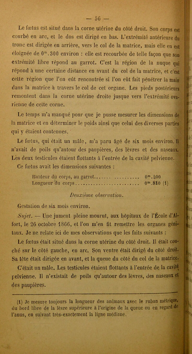 Le fœtus est situé dans la corne utérine du côté droit. Son corps est courbé en arc, et le dos est dirigé en bas. L’extrémité antérieure du tronc est dirigée en arrière, vers le col de la matrice, mais elle en est éloignée de O^.SOO environ : elle est recourbée de telle façon que son extrémité libre répond au garrot. C’est la région de la nuque qui répond à, une certaine distance en avant du col de la matrice, et c’est celte région que l’on eût rencontrée si l’on eût fait pénétrer la main dans la matrice k travers le col de cet organe. Les pieds postérieurs remontent dans la corne utérine droite jusque vers l’extrémité ova- rienne de cette corne. Le temps m’a manqué pour que je pusse mesurer les dimensions de la matrice et en déterminer le poids ainsi que celui des diverses parties qui y étaient contenues. ' Le fœtus, qui était un mâle, m’a paru âgé de six mois environ. Il n’avait de poils qu’autour des paupières, des lèvres et des naseaux. Lès deux testicules étaient flottants à l’entrée de la cavité pelvienne. Ce fœtus avait les dimensions suivantes ; Hauteur du corps, au garrot 0“.Zi00 Longueur du corps 0“.810 (1) tî V i: i P' I ' i; L .• : Ï5 ! ^ 1k Deuxième observation. Gestation de six mois environ. Sujet. — Une jument pleine mourut, aux hôpitaux de l’École d’Al- fort, le 26 octobre 1866, et l’on m’en fit remettre les organes géni- taux. Je ne relate ici de mes observations que les faits suivants : Le fœtus était situé dans la corne utérine du côté droit. Il était cou- ché sur le côté gauche, en arc. Son ventre était dirigé du côté droit. Sa tête était dirigée en avant, et la queue du côté du col de la matrice. C’était un mâle. Les testicules étaient flottants à l’entrée de la cavité pelvienne. Il n’existait de poils qu’autour des lèvres, des naseaux et des paupières. (1) Je mesure toujours la longueur des animaux avec le ruban métrique, du bord libre de la lèvre supérieure à l’origine de la queue ou en regard de l’anus, en suivant très-exactement la ligne médiane.