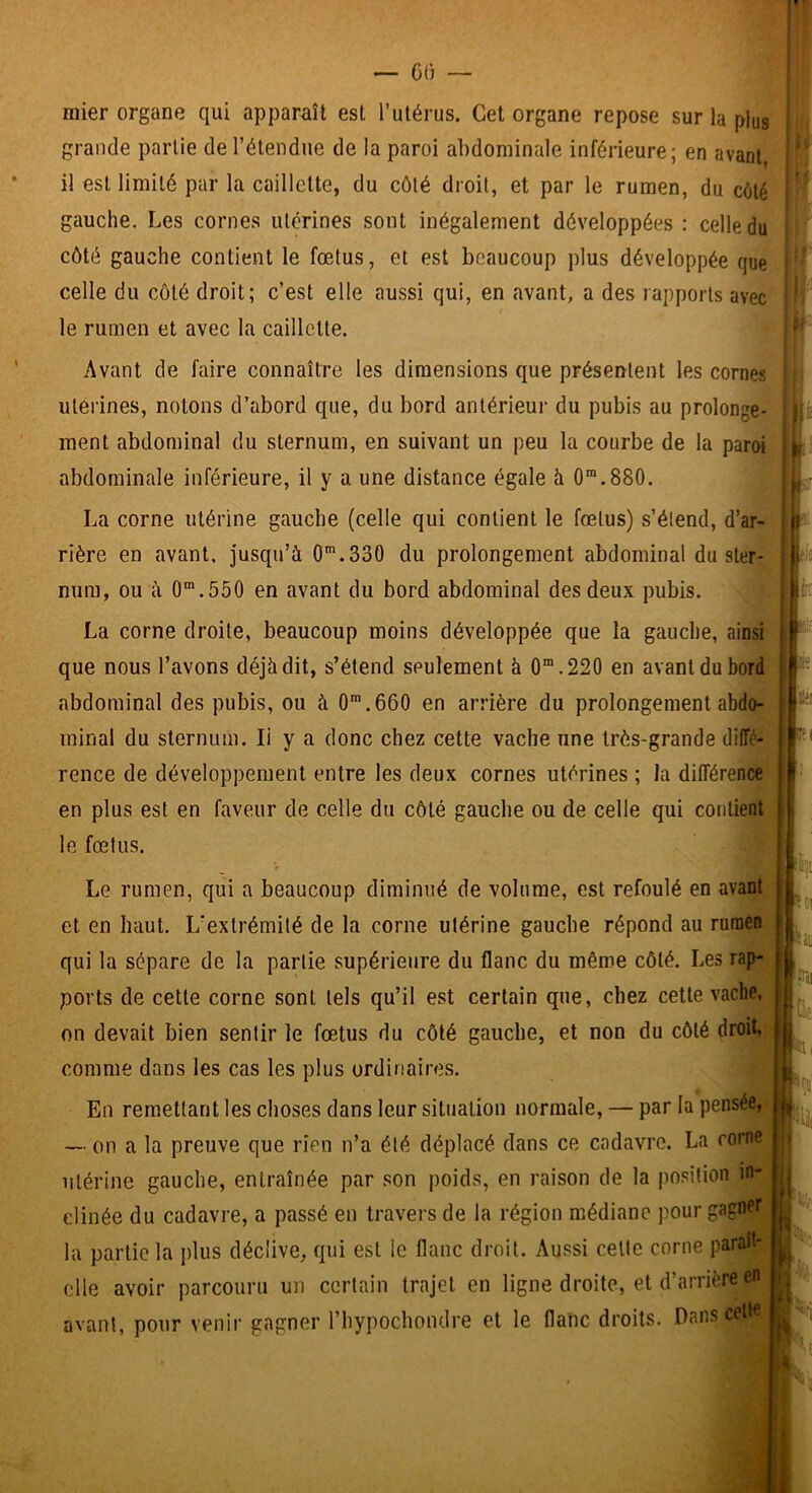 niier organe qui apparaît est l’utérus. Cet organe repose sur la plug grande partie de l’étendue de la paroi abdominale inférieure; en avant, il est limité par la caillette, du côté droit, et par le rumen, du côté gauche. Les cornes utérines sont inégalement développées : celle du côté gauche contient le fœtus, et est beaucoup plus développée que celle du côté droit; c’est elle aussi qui, en avant, a des rapports avec le rumen et avec la caillette. Avant de faire connaître les dimensions que présentent les cornes utérines, notons d’abord que, du bord antérieur du pubis au prolonge- ment abdominal du sternum, en suivant un peu la courbe de la paroi abdominale inférieure, il y a une distance égale à 0”.880. La corne utérine gauche (celle qui contient le fœtus) s’étend, d’ar- rière en avant, jusqu’à O*.330 du prolongement abdominal du ster- num, ou à O*.550 en avant du bord abdominal des deux pubis. La corne droite, beaucoup moins développée que la gauche, ainsi que nous l’avons déjà dit, s’étend seulement à 0”.220 en avant du bord abdominal des pubis, ou à 0*.660 en arrière du prolongement abdo- minal du sternum. li y a donc chez cette vache une très-grande diffé- rence de développement entre les deux cornes utérines ; la différence en plus est en faveur de celle du côté gauche ou de celle qui contient le fœtus. Le rumen, qui a beaucoup diminué de volume, est refoulé en avant et en haut. L'extrémité de la corne utérine gauche répond au rumen qui la sépare de la partie supérieure du flanc du même côté. Les rap- ports de cette corne sont tels qu’il est certain que, chez cette vache, on devait bien sentir le fœtus du côté gauche, et non du côté droit, comme dans les cas les plus ordinaires. En remettant les choses dans leur situation normale, — par la pensée, — on a la preuve que rien n’a été déplacé dans ce cadavre. La corne utérine gauche, entraînée par son poids, en raison de la position in- clinée du cadavre, a passé en travers de la région médiane pour gagner la partie la plus déclive, qui est le flanc droit. Aussi celte corne paraît- elle avoir parcouru un certain trajet en ligne droite, et d’arrière en avant, pour venir gagner l’hypocbondre et le flanc droits. Dans celte l I P : 1 . i i M !:' iiKi J