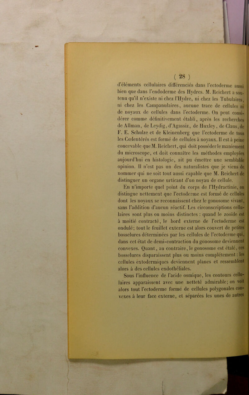 >• | / ( 28 ) d’éléments cellulaires différenciés dans l’ectoderme aussi bien que dans l’endoderme des Hydres. M. Reichert a sou- tenu qu’il n’existe ni chez l’Hydre, ni chez les Tubulaires, ni chez les Campanulaires, aucune trace de cellules ni de noyaux de cellules dans l’ectoderme. On peut consi- dérer comme définitivement établi, après les recherches de Allman, de Leydig, d’Agassiz, de Huxley, de Claus,de F. E. Schulze et de Kleinenberg que l’ectoderme de tous les Cœlentérés est formé de cellules à noyaux. 11 est à peine concevable queM. Reichert, qui doit posséder le maniement du microscope, et doit connaître les méthodes employées aujourd’hui en histologie, ait pu émettre une semblable opinion. II n’est pas un des naturalistes que je viens de nommer qui ne soit tout aussi capable que M. Reichert de distinguer un organe urticant d’un noyau de cellule. En n’importe quel point du corps de l’Hydractinie, on distingue nettement que l’ectoderme est formé de cellules dont les noyaux se reconnaissent chez le gonosome vivant, sans l’addition d’aucun réactif. Les circonscriptions cellu- laires sont plus ou moins distinctes : quand le zooïde est à moitié contracté, le bord externe de l’ectoderme est ondulé; tout le feuillet externe est alors couvert de petites bosselures déterminées par les cellules de l’ectoderme qui, dans cet état de demi-contraction du gonosome deviennent convexes. Quant, au contraire, le gonosome est étalé, ces bosselures disparaissent plus ou moins complètement: les cellules éxtodermiques deviennent planes et ressemblent alors à des cellules endothéliales. Sous l’influence de l’acide osmique, les contours cellu- laires apparaissent avec une netteté admirable; on voit alors tout l’ectoderme formé de cellules polygonales con- vexes à leur face externe, et séparées les unes de autres