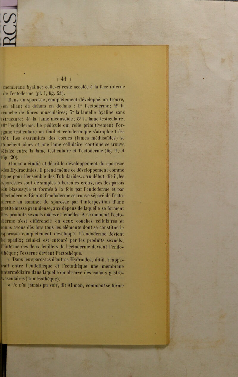 membrane hyaline; celle-ci resle accolée à la face interne de l’ectoderme (pl. I, fig. 21). Dans un sporosac, complètement développé, on trouve, en allant de dehors en dedans : 1° l’ectoderme; 2° la couche de libres musculaires; 5° la lamelle hyaline sans structure; 4° la lame médusoïde; 5° la lame testiculaire; 6° l’endoderme. Le pédicule qui relie primitivement l’or- .gane testiculaire au feuillet ectodermique s’atrophie très- tôt. Les extrémités des cornes (lames médusoïdes) se touchent alors et une lame cellulaire continue se trouve étalée entre la lame testiculaire et l’ectoderme (fig. 1, et lüg. 20). Allman a étudié et décrit le développement du sporosac des Hydractinies. Il prend même ce développement comme ;type pour l’ensemble des TubuIarides.«Au début, dit-il,les 'sporosacs sont de simples tubercules creux, nés des parois du blastoslyle et formés à la fois par l’endoderme et par il’ecloderme. Bientôt l’endoderme se trouve séparé de l’eeto- 1 derme au sommet du sporosac par l’interposition d’une [petite masse granuleuse, aux dépens de laquelle se forment lies produits sexuels mâles et femelles. A ce moment l’ecto- iljerme s’est différencié en deux couches cellulaires et mous avons dès lors tous les éléments dont se constitue le sporosac complètement développé. L’endoderme devient le spadix; celui-ci est entouré par les produits sexuels; 'interne des deux feuillets de l’ectoderme devient l’endo- Lhèque; l’externe devient l’ectothôque. « Dans les sporosacs d’autres Hydroïdes, dit-il, il appa- ’aît entre l’endolhèque et l’ectothèque une membrane ntermédiaire dans laquelle on observe des canaux gastro- wasculaires (la mésothèque). « Je n’ai jamais pu voir, dit Allman, comment se forme