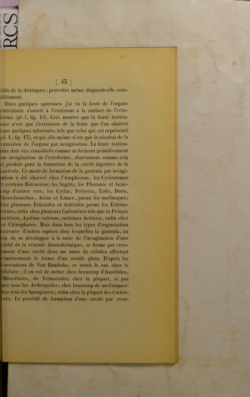 iblede la distinguer; peut-être même disparaît-elle com- létement. Dans quelques sporosacs j’ai vu la fente de l’organe testiculaire s’ouvrir à l’extérieur à la surface de l’ec.lo- i erme (pi. 1, fig. 15). Ceci montre que la fente testicu- aiire n’est que l’extension de la fente que l’on observé ! ans quelques tubercules tels que celui qui est représenté pi. I, fig. 15), et qui elle-même n’est que le résultat de la brmation de l’organe par invagination. La fente leslicu- tlire doit être considérée comme se formant primitivement i ar invagination de l’ectoderme, absolument comme cela te produit pour la formation de la cavité digestive de la , astrula. Ce mode de formation de la gastrula par invagi- ation a été observé chez l’Amphioxus, les Cyclostomes tt certains Batraciens; les Sagitta, les Phoronis et beau- coup d’autres vers; les Cyclas, Polycera, Eolis, Doris, ' leurobranchus, Arion et Limax, parmi les mollusques; Inez plusieurs Échinides et Astérides parmi les Échino- isrmes, enfin chez plusieurs Cœlentérés tels que la Pelagia (joctiluca, Acjalma rubrum, certaines Actinies, enfin chez s Cténophores. Mais dans tous les types d’organisation iitrouve d’autres espèces chez lesquelles la gastrula, au eeu de se développer à la suite de l’invagination d’une i oitié de la vésicule blastodermique, se forme par creu- *ment d’une cavité dans un amas de cellules affectant rrimitivement la forme d’un ovoïde plein. D’après les jservations de Van Bambeke, ce serait le cas chez le • élobale ; il en est de même chez beaucoup d’Annélides, ÏHirudinées, de Trémalodes; chez la plupart, si pas nez tous les Arthropodes; chez beaucoup de mollusques? nez tous les Spongiaires; enfin chez la plupart des Cœlen- rés. Le procédé de formation d'une cavité par creu- WtÊtÊÊÊÊÊÊÊÊÊÊÊHÊÊM