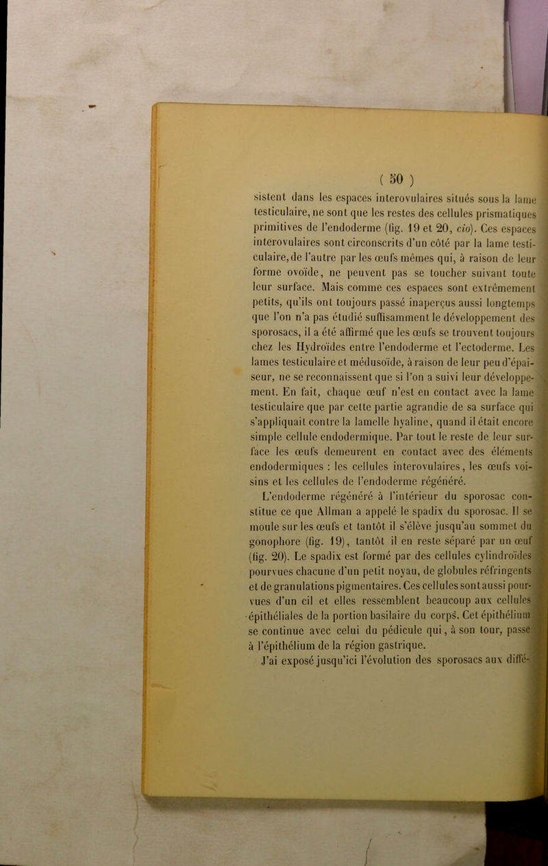 ! V- H la B n u i i ( so ) sistent dans les espaces interovulaires situés sous la lame testiculaire, ne sont que les restes des cellules prismatiques primitives de l’endoderme (lîg. 19 et 20, cio). Ces espaces interovulaires sont circonscrits d’un côté par la lame testi- culaire, de l’autre par les œufs mêmes qui, à raison de leur forme ovoïde, ne peuvent pas se toucher suivant toute leur surface. Mais comme ces espaces sont extrêmement petits, qu’ils ont toujours passé inaperçus aussi longtemps que l'on n’a pas étudié suffisamment le développement des sporosacs, il a été affirmé que les œufs se trouvent toujours chez les Iiydroïdes entre l’endoderme et l’ectoderme. Les lames testiculaire et médusoïde, à raison de leur peud’épai- seur, ne se reconnaissent que si l’on a suivi leur développe- ment. En fait, chaque œuf n’est en contact avec la lame testiculaire que par cette partie agrandie de sa surface qui s’appliquait contre la lamelle hyaline, quand il était encore simple cellule endodermique. Par tout le reste de leur sur- face les œufs demeurent en contact avec des éléments endodermiques : les cellules interovulaires, les œufs voi- sins et les cellules de l’endoderme régénéré. L’endoderme régénéré à l’intérieur du sporosac con- stitue ce que Allman a appelé le spadix du sporosac. Il se ■ moule sur les œufs et tantôt il s’élève jusqu’au sommet du gonophore (fîg. 19), tantôt il en reste séparé par un œuf (fig. 20). Le spadix est formé par des cellules cylindroïdes pourvues chacune d’un petit noyau, de globules réfringents et de granulations pigmentaires. Ces cellules sontaussi pour- vues d’un cil et elles ressemblent beaucoup aux cellules j épithéliales de la portion basilaire du corps. Cet épithélium se continue avec celui du pédicule qui, à son tour, passe à l’épithélium de la région gastrique. J’ai exposé jusqu’ici l’évolution des sporosacs aux diffé- ij