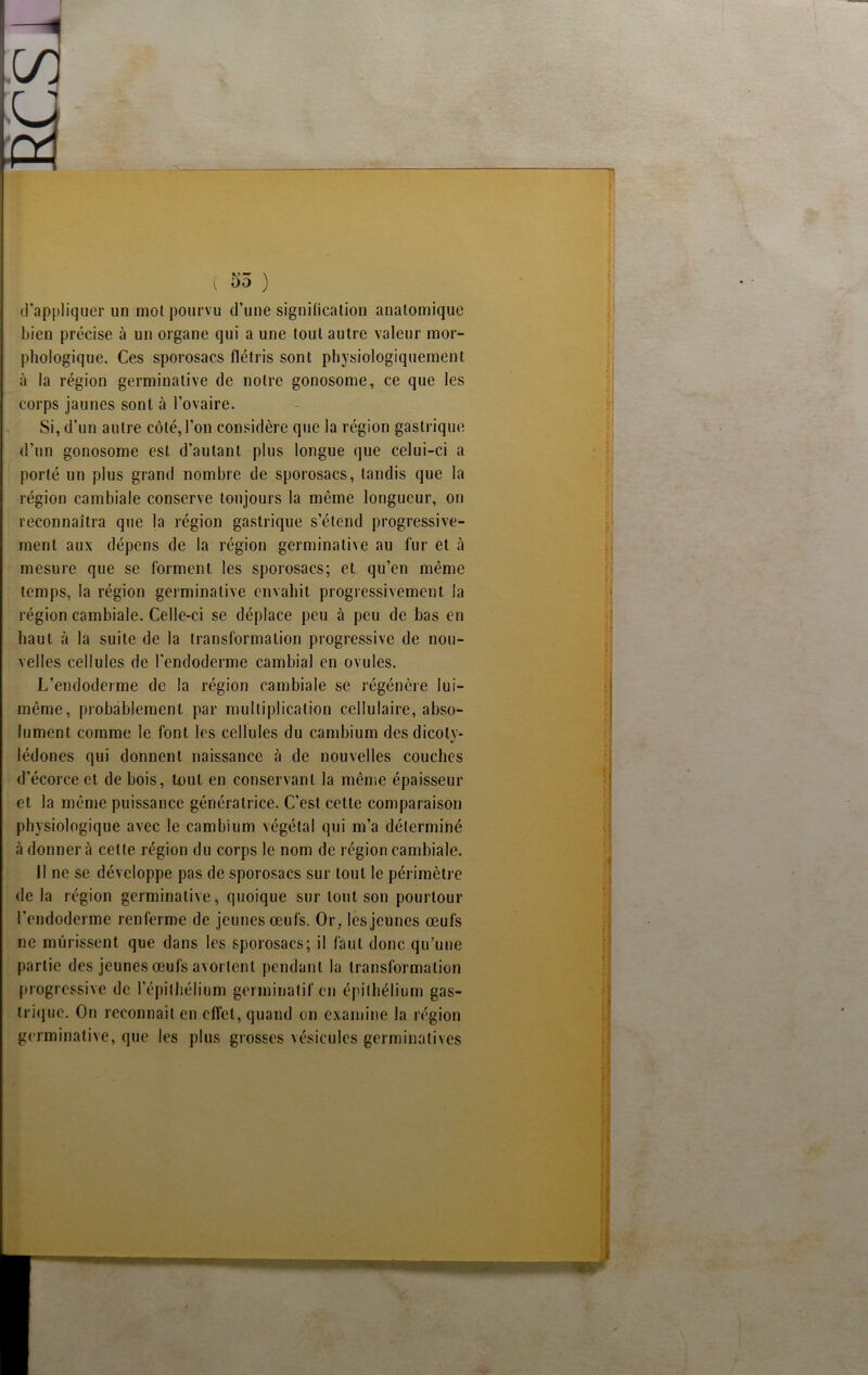 ( 55 ) d’appliquer un mol pourvu d’une signification anatomique bien précise à un organe qui a une tout autre valeur mor- phologique. Ces sporosacs flétris sont physiologiquement à la région germinative de notre gonosome, ce que les corps jaunes sont à l’ovaire. Si, d’un autre côté, l’on considère que la région gastrique d’un gonosome est d’autant plus longue que celui-ci a porté un plus grand nombre de sporosacs, tandis que la région cambiale conserve toujours la même longueur, on reconnaîtra que la région gastrique s’étend progressive- ment aux dépens de la région germinative au fur et à mesure que se forment les sporosacs; et qu’en même temps, la région germinative envahit progressivement la région cambiale. Celle-ci se déplace peu à peu de bas en haut à la suite de la transformation progressive de nou- velles cellules de l'endoderme cambial en ovules. L’endoderme de la région cambiale se régénère lui- même, probablement par multiplication cellulaire, abso- lument comme le font les cellules du cambium des dicoty- lédones qui donnent naissance à de nouvelles couches d’écorce et de bois, tout en conservant la même épaisseur et la même puissance génératrice. C’est cette comparaison physiologique avec le cambium végétal qui m’a déterminé «à donnera celte région du corps le nom de région cambiale. Il ne se développe pas de sporosacs sur tout le périmètre de la région germinative, quoique sur tout son pourtour l’endoderme renferme de jeunes œufs. Or, les jeunes œufs ne mûrissent que dans les sporosacs; il faut donc qu’une partie des jeunes œufs avortent pendant la transformation progressive de l’épithélium germinatif en épithélium gas- trique. On reconnaît en effet, quand on examine la région germinative, que les plus grosses vésicules germinatives H ; ■- i ■ I i,