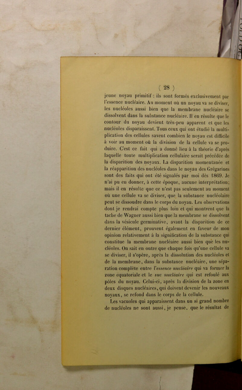 jeune noyau primitif : ils sont formés exclusivement par l’essence nucléaire. Au moment où un noyau va se diviser, les nucléoles aussi bien que la membrane nucléaire se dissolvent dans la substance nucléaire. Il en résulte que le contour du noyau devient très-peu apparent et que les nucléoles disparaissent. Tous ceux qui ont étudié la multi- plication des cellules savent combien le noyau est difficile à voir au moment où la division de la cellule va se pro- duire. C’est ce fait qui a donné lieu à la théorie d’après laquelle toute multiplication cellulaire serait précédée de la disparition des noyaux. La disparition momentanée et la réapparition des nucléoles dans le noyau des Grégarines sont des faits qui ont été signalés par moi dès 1869. Je n’ai pu en donner, à cette époque, aucune interprétation; mais il en résulte que ce n’est pas seulement au moment où une cellule va se diviser, que la substance nucléolaire peut se dissoudre dans le corps du noyau. Les observations dont je rendrai compte plus loin et qui montrent que la tache de Wagner aussi bien que la membrane se dissolvent dans la vésicule germinative, avant la disparition de ce dernier élément, prouvent également en faveur de mon opinion relativement à la signification de la substance qui constitue la membrane nucléaire aussi bien que les nu- cléoles. On sait en outre que chaque fois qu’une cellule va se diviser, il s’opère, après la dissolution des nucléoles et de la membrane, dans la substance nucléaire, une sépa- ration complète entre l’essence nucléaire qui va former la zone équatoriale et le suc nucléaire qui est refoulé aux pôles du noyau. Celui-ci, après la division de la zone en deux disques nucléaires, qui doivent devenir les nouveaux noyaux, se refond dans le corps de la cellule. Les vacuoles qui apparaissent dans un si grand nombre de nucléoles ne sont aussi, je pense, que le résultat de
