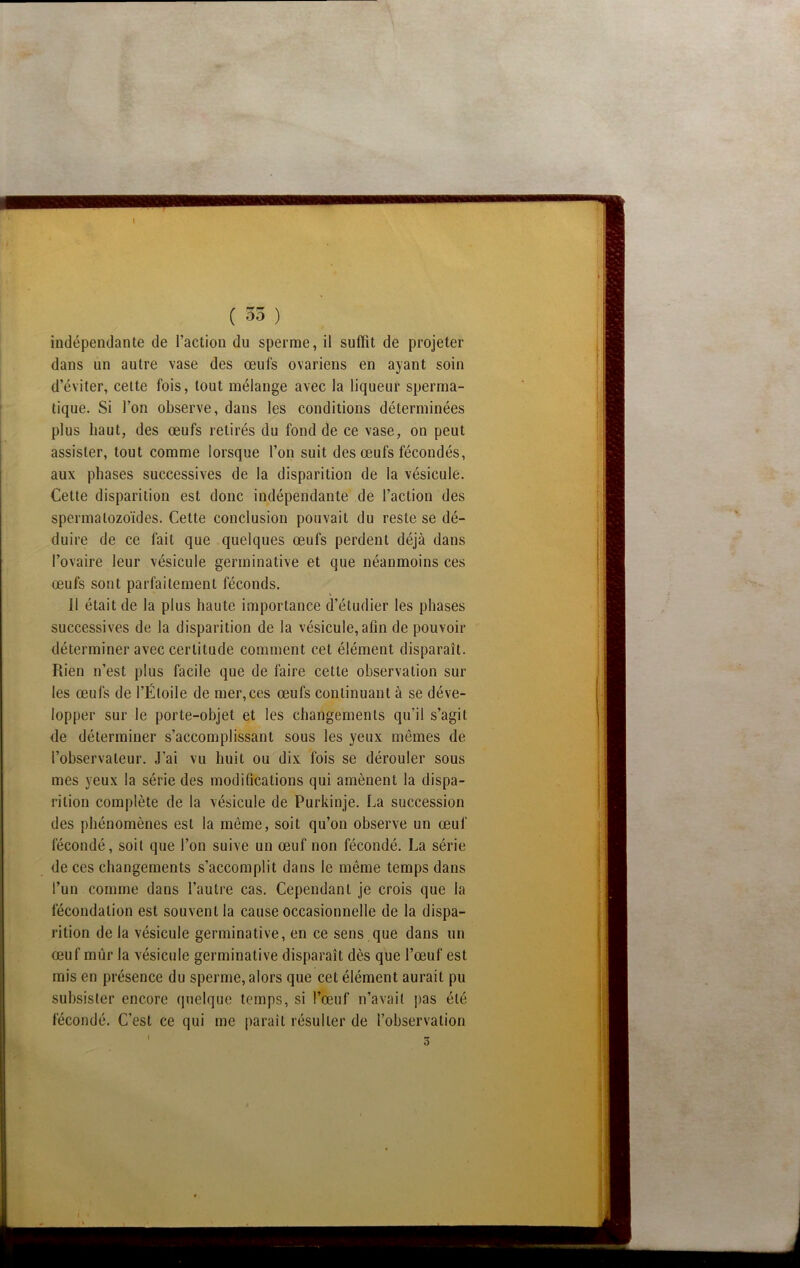 indépendante de l’action du sperme, il suffit de projeter dans un autre vase des œufs ovariens en ayant soin d’éviter, cette fois, tout mélange avec la liqueur sperma- tique. Si l’on observe, dans les conditions déterminées plus haut, des œufs retirés du fond de ce vase, on peut assister, tout comme lorsque l’on suit des œufs fécondés, aux phases successives de la disparition de la vésicule. Cette disparition est donc indépendante de l’action des spermatozoïdes. Cette conclusion pouvait du reste se dé- duire de ce fait que quelques œufs perdent déjà dans l’ovaire leur vésicule germinative et que néanmoins ces œufs sont parfaitement féconds. Il était de la plus haute importance d’étudier les phases successives de la disparition de la vésicule, afin de pouvoir déterminer avec certitude comment cet élément disparaît. Rien n’est plus facile que de faire cette observation sur les œufs de l’Étoile de mer, ces œufs continuant à se déve- lopper sur le porte-objet et les changements qu’il s’agit de déterminer s’accomplissant sous les yeux mêmes de l’observateur. J’ai vu huit ou dix fois se dérouler sous mes yeux la série des modifications qui amènent la dispa- rition complète de la vésicule de Purkinje. La succession des phénomènes est la même, soit qu’on observe un œuf fécondé, soit que l’on suive un œuf non fécondé. La série de ces changements s’accomplit dans le même temps dans l’un comme dans l’autre cas. Cependant je crois que la fécondation est souvent la cause occasionnelle de la dispa- rition de la vésicule germinative, en ce sens que dans un œuf mûr la vésicule germinative disparaît dès que l’œuf est mis en présence du sperme, alors que cet élément aurait pu subsister encore quelque temps, si l’œuf n’avait pas été fécondé. C’est ce qui me paraît résulter de l’observation