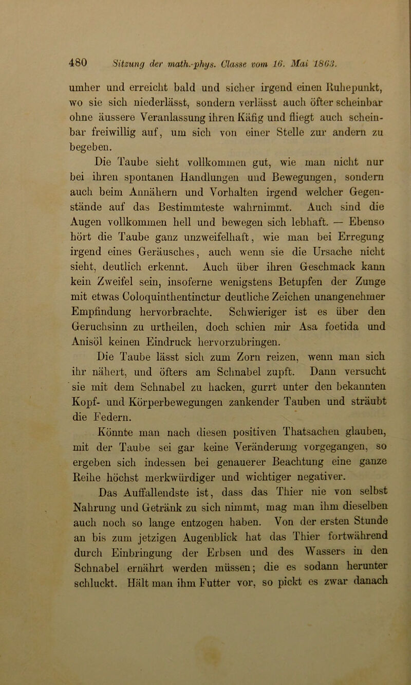 umher und erreicht bald und sicher irgend einen Ruhepunkt, wo sie sich niederlässt, sondern verlässt auch öfter scheinbar ohne äussere Veranlassung ihren Käfig und fliegt auch schein- bar freiwillig auf, um sich von einer Stelle zur andern zu begeben. Die Taube sieht vollkommen gut, wie man nicht nur bei ihren spontanen Handlungen und Bewegungen, sondern auch beim Annähem und Vorhalten irgend welcher Gegen- stände auf das Bestimmteste wahrnimmt. Auch sind die Augen vollkommen bell und bewegen sich lebhaft. — Ebenso hört die Taube ganz unzweifelhaft, wie man bei Erregung irgend eines Geräusches, auch wenn sie die Ursache nicht sieht, deutlich erkennt. Auch über ihren Geschmack kann kein Zweifel sein, insoferne wenigstens Betupfen der Zunge mit etwas Coloquinthentinctur deutliche Zeichen unangenehmer Empfindung hervorbrachte. Schwieriger ist es über den Geruchsinn zu urtheilen, doch schien mir Asa foetida und Anisöl keinen Eindruck hervorzubringen. Die Taube lässt sich zum Zorn reizen, wenn man sich ihr nähert, und öfters am Schnabel zupft. Dann versucht sie mit dem Schnabel zu hacken, gurrt unter den bekannten Kopf- und Körperbewegungen zankender Tauben und sträubt die Federn. Könnte man nach diesen positiven Thatsachen glauben, mit der Taube sei gar keine Veränderung vorgegangen, so ergeben sich indessen bei genauerer Beachtung eine ganze Reihe höchst merkwürdiger und wichtiger negativer. Das Auffallendste ist, dass das Thier nie von selbst Nahrung und Getränk zu sich nimmt, mag man ihm dieselben auch noch so lange entzogen haben. Von der ersten Stunde an bis zum jetzigen Augenblick hat das Thier fortwährend durch Einbringung der Erbsen und des Wassers in den Schnabel ernährt werden müssen; die es sodann herunter schluckt. Hält man ihm Futter vor, so pickt es zwar danach