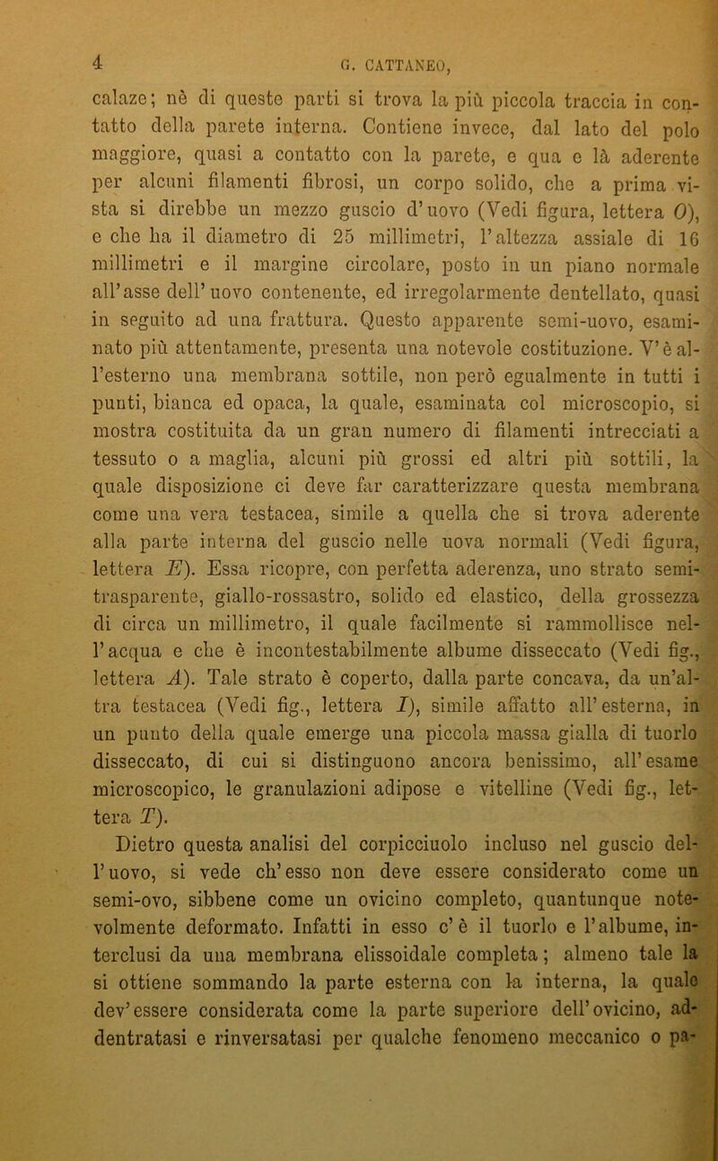 calaze; nè di queste parti si trova la più piccola traccia in con- tatto della parete interna. Contiene invece, dal lato del polo maggiore, quasi a contatto con la parete, e qua e là aderente per alcuni filamenti fibrosi, un corpo solido, che a prima vi- sta si direbbe un mezzo guscio d’uovo (Vedi figura, lettera 0), e che ha il diametro di 25 millimetri, l’altezza assiale di 16 millimetri e il margine circolare, posto in un piano normale all’asse dell’uovo contenente, ed irregolarmente dentellato, quasi in seguito ad una frattura. Questo apparente semi-uovo, esami- nato più attentamente, presenta una notevole costituzione. V’è al- l’esterno una membrana sottile, non però egualmente in tutti i punti, bianca ed opaca, la quale, esaminata col microscopio, si mostra costituita da un gran numero di filamenti intrecciati a tessuto o a maglia, alcuni più grossi ed altri più sottili, la quale disposizione ci deve far caratterizzare questa membrana come una vera testacea, simile a quella che si trova aderente alla parte interna del guscio nelle uova normali (Vedi figura, lettera JS). Essa ricopre, con perfetta aderenza, uno strato semi- trasparente, giallo-rossastro, solido ed elastico, della grossezza di circa un millimetro, il quale facilmente si rammollisce nel- l’acqua e che è incontestabilmente albume disseccato (Vedi fig., lettera A). Tale strato è coperto, dalla parte concava, da un’al- tra testacea (Vedi fig., lettera J), simile affatto all’esterna, in un punto della quale emerge una piccola massa gialla di tuorlo disseccato, di cui si distinguono ancora benissimo, all’esame microscopico, le granulazioni adipose e vitelline (Vedi fig., let- tera T). Dietro questa analisi del corpicciuolo incluso nel guscio del- l’uovo, si vede eh’esso non deve essere considerato come un semi-ovo, sibbene come un ovicino completo, quantunque note- volmente deformato. Infatti in esso c’è il tuorlo e l’albume, in- terclusi da una membrana elissoidale completa ; almeno tale la si ottiene sommando la parte esterna con la interna, la quale dev’essere considerata come la parte superiore dell’ovicino, ad- dentratasi e rinversatasi per qualche fenomeno meccanico o pa-