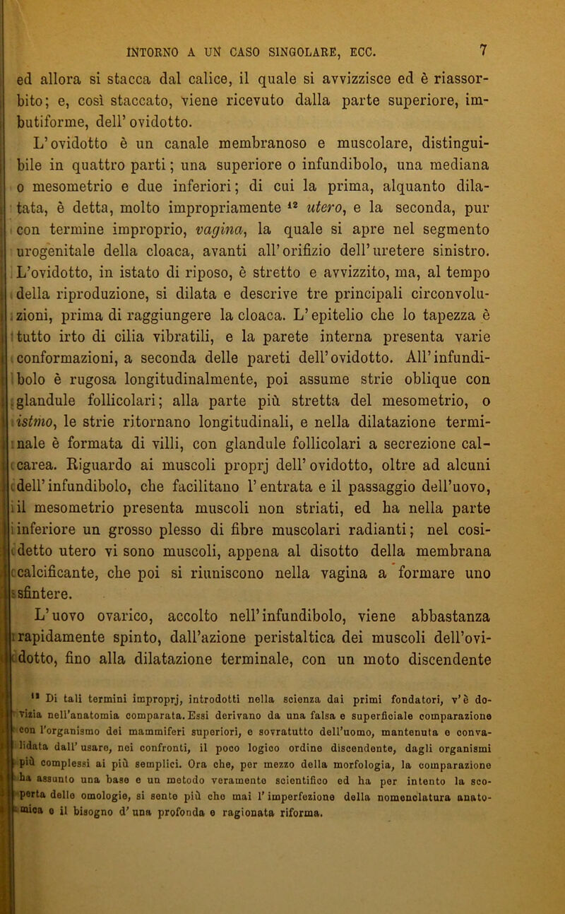 ed allora si stacca dal calice, il quale si avvizzisce ed è riassor- bito; e, così staccato, viene ricevuto dalla parte superiore, im- butiforme, dell’ ovidotto. L’ovidotto è un canale membranoso e muscolare, distingui- bile in quattro parti ; una superiore o infundibolo, una mediana o mesometrio e due inferiori ; di cui la prima, alquanto dila- | tata, è detta, molto impropriamente 12 utero, e la seconda, pur i con termine improprio, vagina, la quale si apre nel segmento urogenitale della cloaca, avanti all’orifizio dell’uretere sinistro, j L’ovidotto, in istato di riposo, è stretto e avvizzito, ma, al tempo i della riproduzione, si dilata e descrive tre principali circonvolu- 1 . zioni, prima di raggiungere la cloaca. L’epitelio che lo tapezza è 1 tutto irto di cilia vibratili, e la parete interna presenta varie j conformazioni, a seconda delle pareti dell’ovidotto. All’infundi- | bolo è rugosa longitudinalmente, poi assume strie oblique con j .glandule follicolari; alla parte più stretta del mesometrio, o i istmo, le strie ritornano longitudinali, e nella dilatazione termi- j naie è formata di villi, con glandule follicolari a secrezione cal- i t carea. Riguardo ai muscoli proprj dell’ ovidotto, oltre ad alcuni ì ^dell’infundibolo, che facilitano l’entrata e il passaggio dell’uovo, li il mesometrio presenta muscoli non striati, ed ha nella parte iinferiore un grosso plesso di fibre muscolari radianti; nel cosi- c detto utero vi sono muscoli, appena ai disotto della membrana le calcificante, che poi si riuniscono nella vagina a formare uno * ; s sfintere. L’uovo ovarico, accolto nell’infundibolo, viene abbastanza : rapidamente spinto, dall’azione peristaltica dei muscoli dell’ovi- ' adotto, fino alla dilatazione terminale, con un moto discendente 11 Di tali termini improprj, introdotti nella scienza dai primi fondatori, v’è do- vizia nell’anatomia comparata. Essi derivano da una falsa e superficiale comparazione e con l’organismo dei mammiferi superiori, e sovratutto dell’uomo, mantenuta e conva- lidata dall’ usare, nei confronti, il poco logico ordine discendente, dagli organismi più complessi ai più semplici. Ora che, per mezzo della morfologia, la comparazione ha assunto una base e un metodo veramente scientifico ed ha per intento la sco- perta delle omologie, si sente più che mai l’imperfezione della nomenolatura anato- mica e il bisogno d’ una profonda e ragionata riforma.