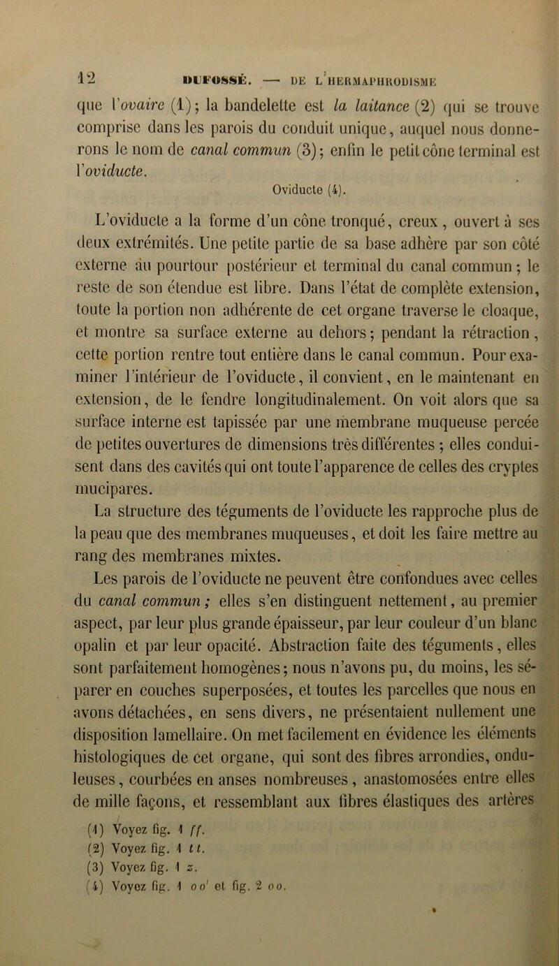 que Y ovaire (1) ; la bandelette est la laitance (2) qui se trouve comprise dans les parois du conduit unique, auquel nous donne- rons le nom de canal commun (3); enfin le petit cône terminal est Yoviducte. Oviducte (4). L’oviducte a la forme d’un cône tronqué, creux , ouvert à ses deux extrémités. Une petite partie de sa base adhère par son côté externe du pourtour postérieur et terminal du canal commun ; le reste de son étendue est libre. Dans l’état de complète extension, toute la portion non adhérente de cet organe traverse le cloaque, et montre sa surface externe au dehors ; pendant la rétraction, cette portion rentre tout entière dans le canal commun. Pour exa- miner l’intérieur de l’oviducte, il convient, en le maintenant en extension, de le fendre longitudinalement. On voit alors que sa surface interne est tapissée par une membrane muqueuse percée de petites ouvertures de dimensions très différentes ; elles condui- sent dans des cavités qui ont toute l’apparence de celles des cryptes mucipares. La structure des téguments de l’oviducte les rapproche plus de la peau que des membranes muqueuses, et doit les faire mettre au rang des membranes mixtes. Les parois de l’oviducte ne peuvent être confondues avec celles du canal commun ; elles s’en distinguent nettement, au premier aspect, par leur plus grande épaisseur, par leur couleur d’un blanc opalin et par leur opacité. Abstraction faite des téguments, elles sont parfaitement homogènes; nous n’avons pu, du moins, les sé- parer en couches superposées, et toutes les parcelles que nous en avons détachées, en sens divers, ne présentaient nullement une disposition lamellaire. On met facilement en évidence les éléments histologiques de cet organe, qui sont des fibres arrondies, ondu- leuses , courbées en anses nombreuses , anastomosées entre elles de mille façons, et ressemblant aux fibres élastiques des artères / (4) Voyez fig. 1 ff. (2) Voyez fig. \ 11. (3) Voyez fig. 1 z.