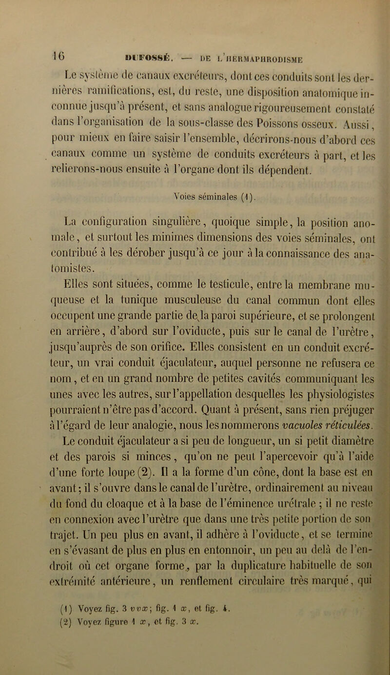 Le système de canaux excréteurs, dont ces conduits sont les der- nières ramifications, est, du reste, une disposition anatomique in- connue jusqu’à présent, et sans analogue rigoureusement constaté dans l’organisation de la sous-classe des Poissons osseux. Aussi, pour mieux en taire saisir l’ensemble, décrirons-nous d’abord ces canaux comme un système de conduits excréteurs à part, et les relierons-nous ensuite à l’organe dont ils dépendent. Voies séminales (1 ). La configuration singulière, quoique simple, la position ano- male, et surtout les minimes dimensions des voies séminales, ont contribué à les dérober jusqu’à ce jour à la connaissance des ana- tomistes. Elles sont situées, comme le testicule, entre la membrane mu- queuse et la tunique musculeuse du canal commun dont elles occupent une grande partie déjà paroi supérieure, et se prolongent en arrière, d’abord sur l’oviducte, puis sur le canal de l’urètre, jusqu’auprès de son orifice. Elles consistent en un conduit excré- teur, un vrai conduit éjaculateur, auquel personne ne refusera ce nom, et en un grand nombre de petites cavités communiquant les unes avec les autres, sur l’appellation desquelles les physiologistes pourraient n’être pas d’accord. Quant à présent, sans rien préjuger à l’égard de leur analogie, nous les nommerons vacuoles réticulées. Le conduit éjaculateur a si peu de longueur, un si petit diamètre et des parois si minces, qu’on ne peut l’apercevoir qu’à l’aide d’une forte loupe (2). Il a la forme d’un cône, dont la base est en avant; il s’ouvre dans le canal de l’urètre, ordinairement au niveau du fond du cloaque et à la base de l’éminence urétrale ; il ne reste en connexion avec l’urètre que dans une très petite portion de son trajet. Un peu plus en avant, il adhère à l’oviducte, et se termine en s’évasant de plus en plus en entonnoir, un peu au delà de l’en- droit où cet organe forme., par la duplicature habituelle de son extrémité antérieure, un renflement circulaire très marqué, qui (1) Voyez fig. 3 udx; fig. 1 ce, et. fig. 4.