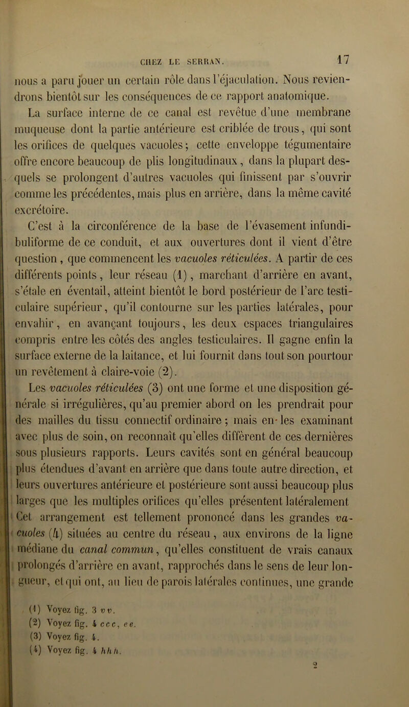 nous a paru jouer un certain rôle dans l’éjaculation. Nous revien- drons bientôt sur les conséquences de ce rapport anatomique. La surface interne de ce canal est revêtue d’une membrane muqueuse dont la partie antérieure est criblée de trous, qui sont les orifices de quelques vacuoles ; cette enveloppe tégumentaire offre encore beaucoup de plis longitudinaux, dans la plupart des- quels se prolongent d’autres vacuoles qui finissent par s’ouvrir comme les précédentes, mais plus en arrière, dans la même cavité excrétoire. C’est à la circonférence de la base de l’évasement infundi- buliforme de ce conduit, et aux ouvertures dont il vient d’être question , que commencent les vacuoles réticulées. A partir de ces différents points, leur réseau (1), marchant d’arrière en avant, s’étale en éventail, atteint bientôt le bord postérieur de l’arc testi- culaire supérieur, qu’il contourne sur les parties latérales, pour envahir, en avançant toujours, les deux espaces triangulaires compris entre les côtés des angles testiculaires. Il gagne enfin la surface externe de la laitance, et lui fournit dans tout son pourtour un revêtement à claire-voie (*2). Les vacuoles réticulées (3) ont une forme et une disposition gé- nérale si irrégulières, qu’au premier abord on les prendrait pour des mailles du tissu connectif ordinaire ; mais en- les examinant avec plus de soin, on reconnaît qu’elles diffèrent de ces dernières sous plusieurs rapports. Leurs cavités sont en général beaucoup plus étendues d’avant en arrière que dans toute autre direction, et leurs ouvertures antérieure et postérieure sont aussi beaucoup plus larges que les multiples orifices qu’elles présentent latéralement Cet arrangement est tellement prononcé dans les grandes va- cuoles (Ji) situées au centre du réseau, aux environs de la ligne médiane du canal commun, qu’elles constituent de vrais canaux prolongés d’arrière en avant, rapprochés dans le sens de leur lon- gueur, elqui ont, au lieu de parois latérales continues, une grande (1) Voyez fig. 3 vv. (2) Voyez fig. 4 ccc, ee. (3) Voyez fig. 4. (4) Voyez fig. 4 hlili.