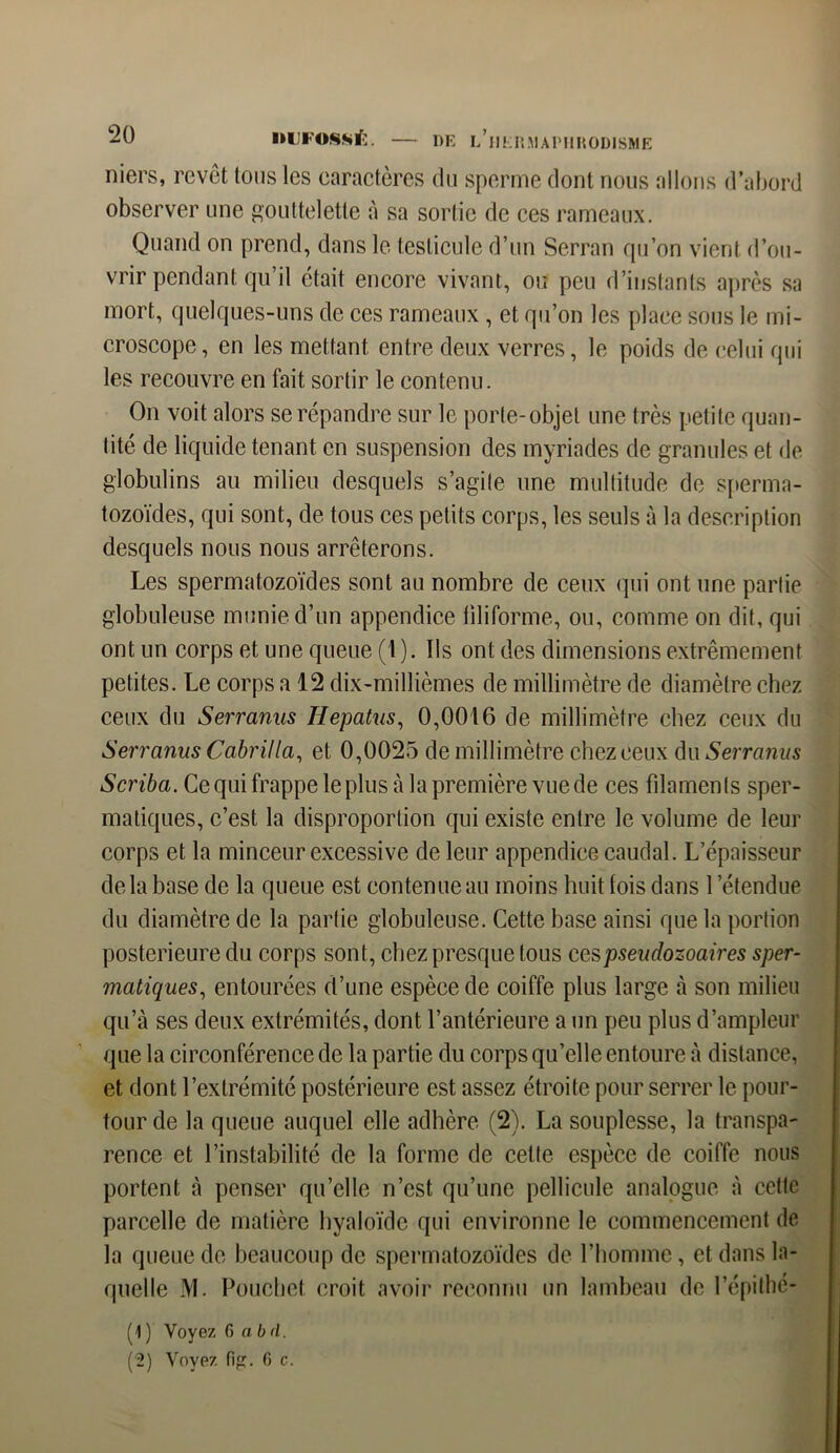 niers, revêt tous les caractères du sperme dont nous allons d’abord observer une gouttelette à sa sortie de ces rameaux. Quand on prend, dans le testicule d’un Serran qu’on vient d’ou- vrir pendant qu’il était encore vivant, ou peu d’instants après sa mort, quelques-uns de ces rameaux, et qu’on les place sous le mi- croscope, en les mettant entre deux verres, le poids de celui qui les recouvre en fait sortir le contenu. On voit alors se répandre sur le porte-objet une très petite quan- tité de liquide tenant en suspension des myriades de granules et de giobulins au milieu desquels s’agite une multitude de sperma- tozoïdes, qui sont, de tous ces petits corps, les seuls à la description desquels nous nous arrêterons. Les spermatozoïdes sont au nombre de ceux qui ont une partie globuleuse munie d’un appendice filiforme, ou, comme on dit, qui ont un corps et une queue (1 ). Ils ont des dimensions extrêmement petites. Le corps a 12 dix-millièmes de millimètre de diamètre chez ceux du Serranus Hepatus, 0,0016 de millimètre chez ceux du Serranus Cabrilla, et 0,0025 de millimètre chez ceux du Serrcnîus Scriba. Cequifrappeleplus à lapremière vuede ces filaments sper- matiques, c’est la disproportion qui existe entre le volume de leur corps et la minceur excessive de leur appendice caudal. L’épaisseur delà base de la queue est contenue au moins huit lois dans 1 ’étendue du diamètre de la partie globuleuse. Cette base ainsi que la portion postérieure du corps sont, chez presque tous cespseudozoaires sper- matiques, entourées d’une espèce de coiffe plus large à son milieu qu’à ses deux extrémités, dont l’antérieure a un peu plus d’ampleur que la circonférence de la partie du corps qu’elle entoure à distance, et dont l’extrémité postérieure est assez étroite pour serrer le pour- tour de la queue auquel elle adhère (2). La souplesse, la transpa- rence et l’instabilité de la forme de cette espèce de coiffe nous portent à penser qu’elle n’est qu’une pellicule analogue à cette parcelle de matière hyaloïde qui environne le commencement de la queue de beaucoup de spermatozoïdes de l’homme, et dans la- quelle M. Pouehct croit avoir reconnu un lambeau de l’épithe- (1 ) Voyez 6 a bd.