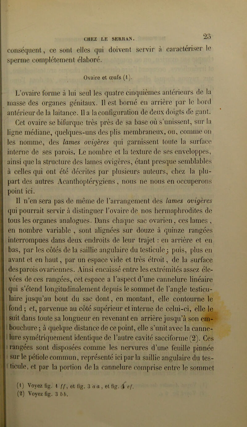 2Ô conséquent, ce sont elles qui doivent servir à caractériser le sperme complètement élaboré. Ovaire et œufs (1 ). L’ovaire forme à lui seul les quatre cinquièmes antérieurs de la masse des organes génitaux. Il est borné en arrière par le bord antérieur de la laitance. Il a la configuration de deux doigts de gant. Cet ovaire se bifurque très près de sa base où s’unissent, sur la ligne médiane, quelques-uns des plis membraneux, ou, comme on les nomme, des lames ovigères qui garnissent toute la surface interne de ses parois. Le nombre et la texture de ses enveloppes, ainsi que la structure des lames ovigères, étant presque semblables à celles qui ont été décrites par plusieurs auteurs, chez la plu- part des autres Acanthoptérygiens, nous ne nous en occuperons point ici. 11 n’en sera pas de même de l’arrangement des lames ovigères qui pourrait servir à distinguer l’ovaire de nos hermaphrodites de tous les organes analogues. Dans chaque sac ovarien, ces lames , en nombre variable , sont alignées sur douze à quinze rangées interrompues dans deux endroits de leur trajet : en arrière et en bas, par les côtés de la saillie angulaire du testicule; puis, plus en avant et en haut, par un espace vide et très étroit, de la surface des parois ovariennes. Ainsi encaissé entre les extrémités assez éle- vées de ces rangées, cet espace a l’aspect d’une cannelure linéaire qui s’étend longitudinalement depuis le sommet de l’angle testicu- laire jusqu’au bout du sac dont, en montant, elle contourne le fond ; et, parvenue au côté supérieur et interne de celui-ci, elle le suit dans toute sa longueur en revenant en arrière jusqu’à son em- bouchure ; à quelque distance de ce point, elle s’unit avec la canne- lure symétriquement identique de l’autre cavité sacciforme (2). Ces rangées sont disposées comme les nervures d’une feuille pinneie sur le pétiole commun, représenté ici par la saillie angulaire du tes- ticule, et par la portion delà cannelure comprise entre le sommet (1) Voyez fig. 1 ff, et lîg. 3 «a, et.fig. cf.