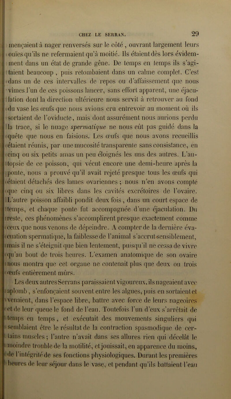 mençaientà nager renversés sur le côté , ouvrant largement leurs ouïes qu’ils ne refermaient qu’à moitié. Ils étaient dès lors évidem- ment dans un état de grande gêne. De temps en temps ils s’agi- taient beaucoup , puis retombaient dans un calme complet. C’est dans un de ces intervalles de repos ou d’affaissement que nous vîmes l’un de ces poissons lancer, sans effort apparent, une éjacu- lation dont la direction ultérieure nous servit à retrouver au fond du vase les œufs que nous avions cru entrevoir au moment où ils sortaient de l’oviducte, mais dont assurément nous aurions perdu la trace, si le nuage spermatique ne nous eût pas guidé dans la quête que nous en faisions. Les œufs que nous avons recueillis étaient réunis, par une mucosité transparente sans consistance, en cinq ou six petits amas un peu éloignés les uns des autres. L’au- topsie de ce poisson, qui vécut encore une demi-heure après la ponte, nous a prouvé qu’il avait rejeté presque tous les œufs qui iétaient détachés des lames ovariennes; nous n’en avons compté que cinq ou six libres dans les cavités excrétoires de l’ovaire. L’autre poisson affaibli pondit deux fois, dans un court espace de temps, et chaque ponte fut accompagnée d’une éjaculation. Du reste, ces phénomènes s’accomplirent presque exactement comme ceux que nous venons de dépeindre. A compter de la dernière éva- luation spermatique, la faiblesse de l’animal s’accrut-sensiblement, i mais il ne s’éteignit que bien lentement, puisqu’il ne cessa de vivre qu’au bout de trois heures. L’examen anatomique de son ovaire : nous montra que cet organe ne contenait plus que deux ou trois œufs entièrement murs. Les deux autres Serrans paraissaient vigoureux, ils nageaient avec aplomb, s’enfoncaient, souvent entre les algues, puis en sortaient et venaient, dans l’espace libre, battre avec force de leurs nageoires et de leur queue le fond de l’eau. Toutefois l’un d’eux s’arrêtait de temps en temps, et exécutait des mouvements singuliers qui semblaient être le résultat de la contraction spasmodique de cer- tains muscles; l’autre n’avait dans ses allures rien qui décelât le moindre trouble de la motilité, et jouissait, en apparence du moins, de l’intégrité de ses fonctions physiologiques. Durant les premières heures de leur séjour dans le vase, et pendant qu’ils battaient l’eau