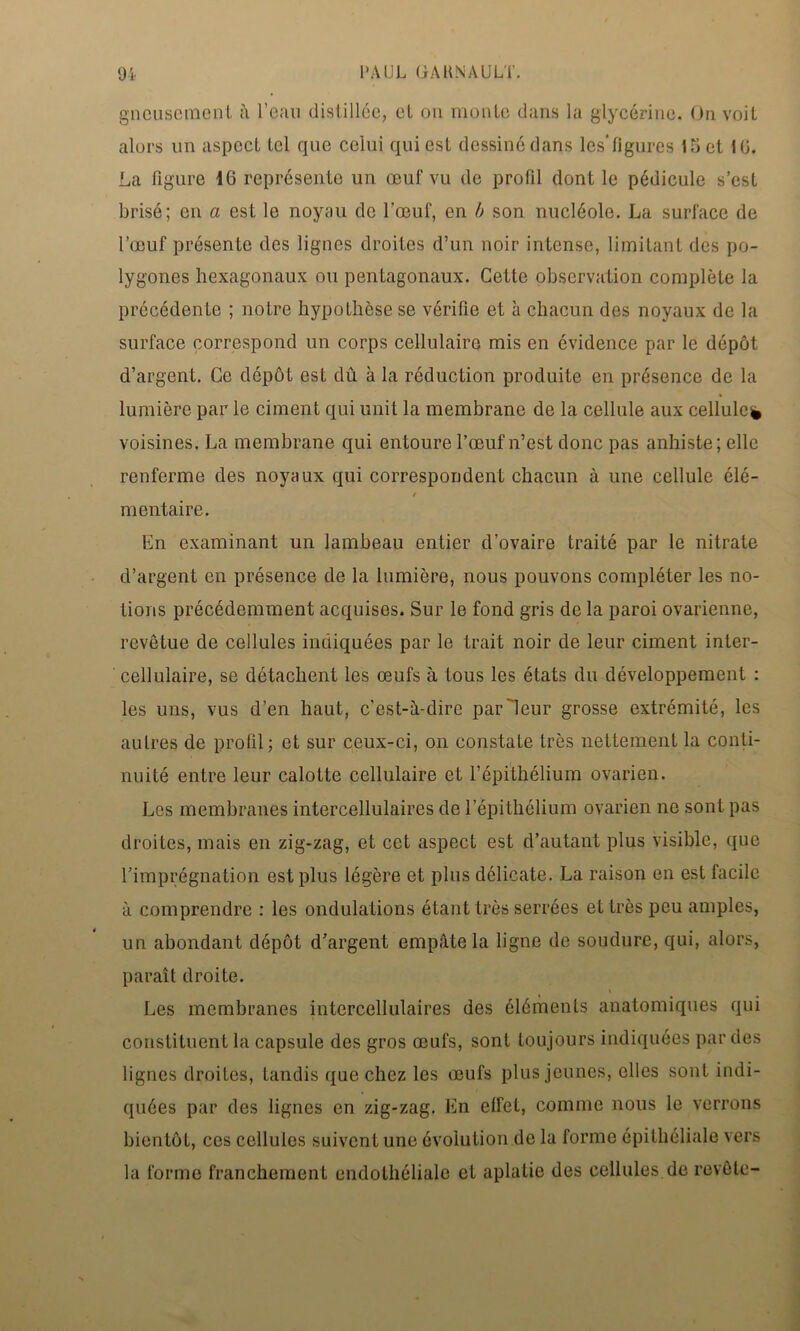 gncuscmcnt à l’can distillée, et on monte dans la glycérine. On voit alors un aspect tel que celui qui est dessiné dans les’ligures 15 et 10. La figure 46 représente un œuf vu de profil dont le pédicule s’est brisé; en a est le noyau de l’œuf, en b son nucléole. La surface de l’œuf présente des lignes droites d’un noir intense, limitant des po- lygones hexagonaux ou pentagonaux. Cette observation complète la précédente ; notre hypothèse se vérifie et à chacun des noyaux de la surface correspond un corps cellulaire mis en évidence par le dépôt d’argent. Ce dépôt est dû à la réduction produite en présence de la lumière par le ciment qui unit la membrane de la cellule aux cellule^ voisines. La membrane qui entoure l’œuf n’est donc pas anhiste; elle renferme des noyaux qui correspondent chacun à une cellule élé- / m entai re. En examinant un lambeau entier d’ovaire traité par le nitrate d’argent en présence de la lumière, nous pouvons compléter les no- tions précédemment acquises. Sur le fond gris de la paroi ovarienne, revêtue de cellules indiquées par le trait noir de leur ciment inter- cellulaire, se détachent les œufs à tous les états du développement : les uns, vus d’en haut, c’est-à-dire parleur grosse extrémité, les autres de profil; et sur ceux-ci, on constate très nettement la conti- nuité entre leur calotte cellulaire et l’épithélium ovarien. Les membranes intercellulaires de l’épithélium ovarien ne sont pas droites, mais en zig-zag, et cet aspect est d’autant plus visible, que l’imprégnation est plus légère et plus délicate. La raison en est facile à comprendre : les ondulations étant très serrées et très peu amples, un abondant dépôt d’argent empâte la ligne de soudure, qui, alors, paraît droite. Les membranes intercellulaires des éléments anatomiques qui constituent la capsule des gros œufs, sont toujours indiquées par des lignes droites, tandis que chez les œufs plus jeunes, elles sont indi- quées par des lignes en zig-zag. En effet, comme nous le verrons bientôt, ces cellules suivent une évolution de la forme épithéliale vers la forme franchement endothéliale et aplatie des cellules de revête-