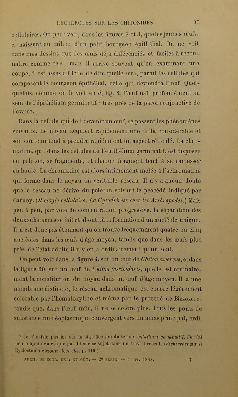 * cellulaires. On peut voir, dans les figures 2 et 3, queles jeunes œufs, t % c, naissent au milieu d’un petit bourgeon épithélial. On ne voit dans mes dessins que des œufs déjà différenciés et faciles à recon> naître comme tels ; mais il arrive souvent qu’en examinant une coupe, il est assez difficile de dire quelle sera, parmi les cellules qui composent le bourgeon épithélial, celle qui deviendra l’œuf. Quel- quefois, comme on le voit en d, fig. 2, l’œuf naît profondément au sein de l’épithélium germinatif1 très près de la paroi conjonctive de l’ovaire. i Dans la cellule qui doit devenir un œuf, se passent les phénomènes suivants. Le noyau acquiert rapidement une taille considérable et son contenu tend à prendre rapidement un aspect réticulé. La chro- matine, qui, dans les cellules de l’épithélium germinatif, est disposée en peloton, se fragmente, et chaque fragment tend à se ramasser en boule. La chromatine est alors intimement mêlée à l'achromatine qui forme dans le noyau un véritable réseau. Il n’y a aucun doute que le réseau ne dérive du peloton suivant le procédé indiqué par Carnoy. (Biologie cellulaire. La Cytodicrcse cher, les Arthropodes.) Mais peu à peu, par voie de concentration progressive, la séparation des deuxsubstances se fait et aboutità la formation d’un nucléole unique. Il n’est donc pas étonnant qu’on trouve fréquemment quatre ou cinq nucléoles dans les œufs d’âge moyen, tandis que dans les œufs plus près de l’ctat adulte il n’y en a ordinairement qu’un seul. On peut voir dans la figure 4, sur un œuf de Chiton cmerews,etdans % la figure 20, sur un œuf de Chiton fascicularis, quelle est ordinaire- ment la constitution du noyau dans un œuf d’âge moyen. Il a une membrane distincte, le réseau achromatique est encore légèrement colorable par l’hématoxyline et môme par le procédé de Bizzozero, tandis que, dans l’œuf mûr, il ne se colore plus. Tous les ponts de substance nucléoplasmique convergent vers un amas principal, ordi- 1 Je n’insisle pas ici sur la signification du terme épithélium germinatif. Je n’ai rien à ajouter à ce que j’ai dit sur ce sujet dans un travail récent. (Recherches sur le Cyclostoma clegans, loc. cit., p. 1)9.) AUCH. UE ZOOL.. EXP. ET GÉNT«— 2e SÉRIE. -- T. VI. 1888. 7