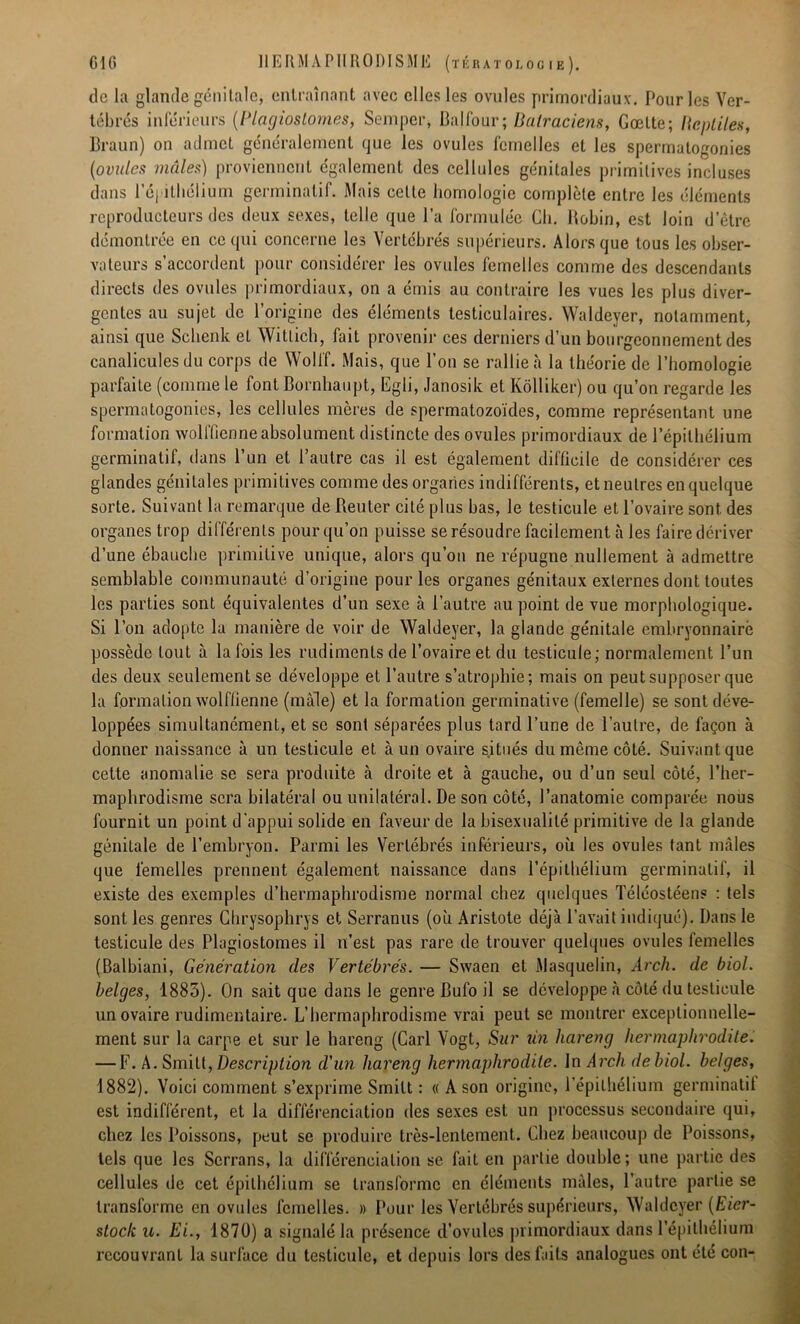 de la glande génitale, entraînant avec elles les ovules primordiaux. Pour les Ver- tébrés inférieurs (IHagioslomes, Semper, Balfour; Batraciens, Gœlte; Beptiles, Braun) on admet généralement que les ovules femelles et les spermatogonies (ovules mâles) proviennent également des cellules génitales primitives incluses dans l'épithélium germinatif. Mais cette homologie complète entre les éléments reproducteurs des deux sexes, telle que l’a formulée Ch. Hobin, est loin d’ètre démontrée en ce qui concerne les Vertébrés supérieurs. Alors que tous les obser- vateurs s’accordent pour considérer les ovules femelles comme des descendants directs des ovules primordiaux, on a émis au contraire les vues les plus diver- gentes au sujet de l’origine des éléments testiculaires. Waldeyer, notamment, ainsi que Schenk et Witlich, fait provenir ces derniers d’un bourgeonnement des canalicules du corps de Wolff. Mais, que l’on se rallie à la théorie de l’homologie parfaite (comme le font Bornhaupt, Egli, Janosik et Kôlliker) ou qu’on regarde les spermatogonies, les cellules mères de spermatozoïdes, comme représentant une formation wolffienneabsolument distincte des ovules primordiaux de l’épithélium germinatif, dans l’un et l’autre cas il est également difficile de considérer ces glandes génitales primitives comme des organes indifférents, et neutres en quelque sorte. Suivant la remarque de Reuter cité plus bas, le testicule et l’ovaire sont, des organes trop différents pour qu’on puisse se résoudre facilement à les faire dériver d’une ébauche primitive unique, alors qu’on ne répugne nullement à admettre semblable communauté d’origine pour les organes génitaux externes dont toutes les parties sont équivalentes d’un sexe à l’autre au point de vue morphologique. Si l’on adopte la manière de voir de Waldeyer, la glande génitale embryonnaire possède tout à la fois les rudiments de l’ovaire et du testicule; normalement l’un des deux seulement se développe et l’autre s’atrophie; mais on peut supposer que la formatiomvolflienne (mâle) et la formation germinative (femelle) se sont déve- loppées simultanément, et se sont séparées plus tard l’une de l’autre, de façon à donner naissance à un testicule et à un ovaire situés du même côté. Suivant que cette anomalie se sera produite à droite et à gauche, ou d’un seul côté, l’her- maphrodisme sera bilatéral ou unilatéral. De son côté, l’anatomie comparée nous fournit un point d’appui solide en faveur de la bisexualité primitive de la glande génitale de l’embryon. Parmi les Vertébrés inférieurs, où les ovules tant imles que femelles prennent également, naissance dans l’épithélium germinatif, il existe des exemples d’hermaphrodisme normal chez quelques Téléostéens : tels sont les genres Chrysophrys et Serranus (où Aristote déjà l’avait indiqué). Dans le testicule des Plagiostomes il n’est pas rare de trouver quelques ovules femelles (Balbiani, Génération des Vertébrés. — Swaen et Masquelin, Arcli. de biol. belges, 1883). On sait que dans le genre Bufo il se développe à côté du testicule un ovaire rudimentaire. L’hermaphrodisme vrai peut se montrer exceptionnelle- ment sur la carpe et sur le hareng (Cari Vogt, Sur lin hareng hermaphrodite. — F. A. Smitt, Description d'un hareng hermaphrodite. In Arch de biol. belges, 1882). Voici comment s’exprime Smitt : « A son origine, l’épithélium germinatif est indifférent, et la différenciation des sexes est un processus secondaire qui, chez les Poissons, peut se produire très-lentement. Chez beaucoup de Poissons, tels que les Serrans, la différenciation se fait en partie double; une partie des cellules de cet épithélium se transforme en éléments mâles, l’autre partie se transforme en ovules femelles. » Pour les Vertébrés supérieurs, Waldeyer (Eier- stock u. Ei., 1870) a signalé la présence d’ovules primordiaux dans l’épithélium recouvrant la surface du testicule, et depuis lors des faits analogues ont été con-