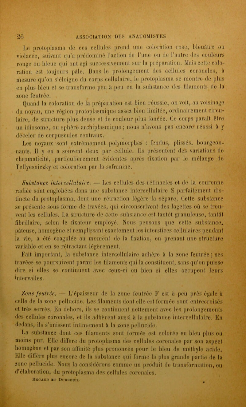 [,0 protoplasma do ces cellules pmiil mm coloralion rose, bleuâtre ou violacée, suivant qu’a prédominé l'action (le l’une ou de l’aulre des couleurs rouge ou bleue qui ont agi successivement sur la préparation. Mais celle colo- ration est toujours pèle. Dans le prolongement des cellules cornnales, il mesure qu’on s’éloigne du corps cellulaire, le protoplasma se montre de plus en plus bleu et se transforme peu â peu en la substance des filaments de la zone feutrée. Quand la coloration de la préparation est bien réussie, on voit, au voisinage du noyau, une région protoplasmique assez bien limitée, ordinairement circu- laire, de structure plus dense cl de couleur plus foncée. Ce corps paraît être un idiosome, ou sphère archiplasmiqiie ; nous n’avons pas encore' réussi à y déceler de corpuscules centraux. Les noyaux sont extrêmement polymorphes : fendus, plissés, bourgeon- nants. Il y en a souvent deux par cellule. Ils présentent des variations do chromaticilé, particulièrement évidentes après fixation par le mélange de Tellyesniczky et coloration par la safranirie. Substance inter cellulaire. — Les cellules des rélinaoles et de la couronne radiée sont englobées dans une substance intercellulaire S parfaitement dis- tincte du protoplasma, dont une rétraction légère la sépare. Celle substance se présente sous forme de travées, qui circonscrivent des logeltes où se. trou- vent les cellules. La structure de celle substance est tantôt granuleuse, tantôt fibrillaire, selon le fixateur employé. Nous pensons que cette substance., pâteuse, homogène et remplissant exactement les interstices cellulaires pendant la vie, a été coagulée au moment de la fixation, en prenant une structure variable et en se rétractant légèrement. Fait important, la substance inlero.ollulaire adhère, à la zone feutrée; ses travées se poursuivent parmi les filaments qui la constituent, sans qu’on puisse dire si elles se continuent avec ceux-ci ou bien si elles occupent leurs intervalles. Zone feutrée. — L’épaisseur de la zone feutrée F est â peu près égale h celle de la zone pellucide. Les filaments dont elle est formée sont entrecroisés et très serrés. En dehors, ils se continuent nettement avec les prolongements des cellules coronales, et ils adhèrent aussi â la substance inlercellulaire. En dedans, ils s’unissent intimement à la zone pellucide. La substance dont ces filaments sont formés est colorée en bleu plus ou moins pur. Elle diffère du protoplasma des cellules coronales par son aspect homogène et par son affinité plus prononcée pour le bleu de méthyle acide. Elle diffère plus encore de la substance qui forme la plus grande partie de la zone pellucide. Nous la considérons comme un produit de transformation, ou d’élaboration, du protoplasma des cellules coronales. RBOAUU MT lJUUHKUll.