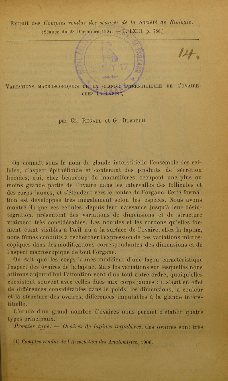 Extrait des Comptes rendus des séances de la Société de Biologie. (Séance du 28 Décembre 1907. — T. LX11I, p. 780.) ïr: *'■ ■ ’ i \ #31 ! *». i raù ~v9> -SW** Variations macroscopiques de la glande interstitielle de l ovaire, - rî chez'l'a lapine, par Cl. Regaud et G. Dlôreuil. On connaît sous le nom de glande interstitielle l’ensemble des cel- lules, d'aspect épithélioïde et contenant des produits de sécrétion lipoïdes, qui, chez beaucoup de mammifères, occupent une plus ou moins grande partie de l’ovaire dans les intervalles des follicules et des corps jaunes, et s’étendent vers le centre de l’organe. Cette forma- tion est développée très inégalement selon les espèces. Nous avons montré (1) que ces cellules, depuis leur naissance jusqu’à leur désin- tégration, présentent des variations de dimensions et de structure vraiment très considérables. Les nodules et les cordons qu’elles for- ment étant visibles à l’œil nu à la surface de l’ovaire, chez la lapine, nous fûmes conduits à rechercher l’expression de ces variations micros- copiques dans des modifications correspondantes des dimensions et de l’aspect macroscopique de tout l’organe. On sait que les corps jaunes modifient d’une façon caractéristique l’aspect des ovaires de la lapine. Mais les variations sur lesquelles nous attirons aujourd’hui l’attention sont d’un tout autre ordre, quoiqu’elles coexistent souvent avec celles dues aux corps jaunes : il s’agit en effet de différences considérables dans le poids, les dimensions, la couleur et la structure des ovaires, différences imputables à la glande inters- titielle. L’étude d’un grand nombre d’ovaires nous permet d’établir quatre types principaux. Premier type. — Ovaires de lapines impubères. Ces ovaires sont très (I) Comptes rendus de l'Association des Anatomistes, 1906.