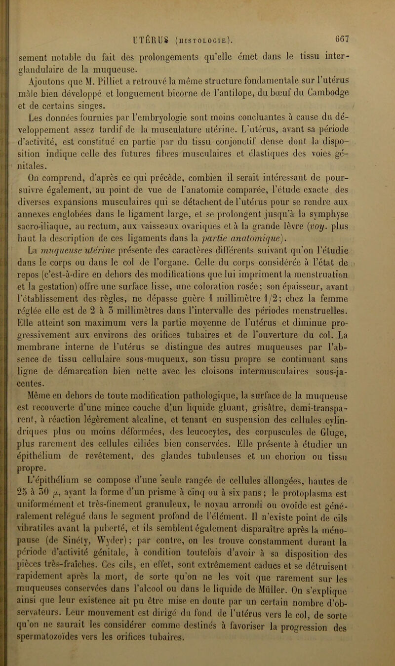 sement notable du fait des prolongements qu’elle c'met dans le tissu inter- glandulaire de la muqueuse. Ajoutons que M. Pilliet a retrouvé la même structure fondamentale sur l’utérus mille bien développé et longuement bicorne de l’antilope, du bœuf du Cambodge et de certains singes. Les données fournies par l’embryologie sont moins concluantes à cause du dé- veloppement assez tardif de la musculature utérine. L’utérus, avant sa période d’activité, est constitué en partie par du tissu conjonctif dense dont la dispo- sition indique celle des futures fibres musculaires et élastiques des voies gé- nitales. On comprend, d’après ce qui précède, combien il serait intéressant de pour- suivre également, au point de vue de l'anatomie comparée, l’étude exacte des diverses expansions musculaires qui se détachent de l’utérus pour se rendre aux annexes englobées dans le ligament large, et se prolongent jusqu’à la symphyse sacro-iliaque, au rectum, aux vaisseaux ovariques et à la grande lèvre {voy. plus haut la description de ces ligaments dans la partie anatomique). La muqueuse utérine présente des caractères différents suivant qu’on l’étudie dans le corps ou dans le col de l’organe. Celle du corps considérée à l’état de repos (c’est-à-dire en dehors des modifications que lui impriment la menstruation et la gestation) offre une surface lisse, une coloration rosée; son épaisseur, avant l’établissement des règles, ne dépasse guère l millimètre 1/2 ; chez la femme réglée elle est de 2 à 5 millimètres dans l’intervalle des périodes menstruelles. Elle atteint son maximum vers la partie moyenne de l'utérus et diminue pro- gressivement aux environs des orifices tubaires et de l’ouverture du col. La membrane interne de l’utérus se distingue des autres muqueuses par l’ab- sence de tissu cellulaire sous-muqueux, son tissu propre se continuant sans ligne de démarcation bien nette avec les cloisons intermusculaires sous-ja- centes. Même en dehors de toute modification pathologique, la surface de la muqueuse est recouverte d’une mince couche d!un liquide gluant, grisâtre, demi-transpa- rent, à réaction légèrement alcaline, et tenant en suspension des cellules cylin- driques plus ou moins déformées, des leucocytes, des corpuscules de Gluge, plus rarement des cellules ciliées bien conservées. Elle présente à étudier un épithélium de revêtement, des glandes tubuleuses et un chorion ou tissu propre. L’épithélium se compose d’une seule rangée de cellules allongées, hautes de 25 à 50 a, ayant la forme d’un prisme à cinq ou à six pans ; le protoplasma est uniformément et très-finement granuleux, le noyau arrondi ou ovoïde est géné- ralement relégué dans le segment profond de l’élément. 11 n’existe point de cils vibratiles avant la puberté, et ils semblent également disparaître après la méno- pause (de Sinély, Wyder) ; par contre, on les trouve constamment durant la période d’activité génitale, à condition toutefois d’avoir à sa disposition des pièces très-fraîches. Ces cils, en effet, sont extrêmement caducs et se détruisent rapidement après la mort, de sorte qu’on ne les voit que rarement sur les muqueuses conservées dans l’alcool ou dans le liquide de Muller. On s’explique ainsi que leur existence ait pu être mise en doute par un certain nombre d’ob- servateurs. Leur mouvement est dirigé du fond de l’ulérus vers le col, de sorte qu’on ne saurait les considérer comme destinés à favoriser la progression des spermatozoïdes vers les orifices tubaires.
