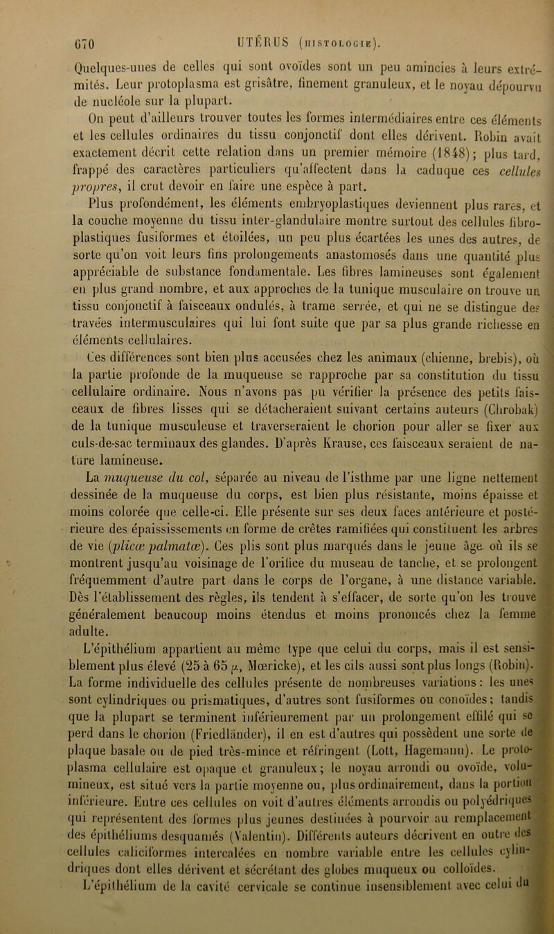 Quelques-unes de celles qui sont ovoïdes sont un peu amincies a leurs extré- mités. Leur protoplasma est grisâtre, finement granuleux, et le noyau dépourvu de nucléole sur la plupart. On peut d’ailleurs trouver toutes les formes intermédiaires entre ces éléments et les cellules ordinaires du tissu conjonctif dont elles dérivent. Robin avait exactement décrit cette relation dans un premier mémoire (1848); plus tard, frappé des caractères particuliers qu’affectent dans la caduque ces cellules propres, il crut devoir en faire une espèce à part. Plus profondément, les éléments embryoplastiques deviennent plus rares, et la couche moyenne du tissu inter-glandulaire montre surtout des cellules fibro- plasliques fusiformes et étoilées, un peu plus écartées les unes des autres, de sorte qu’on voit leurs fins prolongements anastomosés dans une quantité plus appréciable de substance fondamentale. Les fibres lamineuses sont également en plus grand nombre, et aux approches de la tunique musculaire on trouve un tissu conjonctif à faisceaux ondulés, à trame serrée, et qui ne se distingue de? travées intermusculaires qui lui font suite que par sa plus grande richesse en éléments cellulaires. Ces différences sont bien plus accusées chez les animaux (chienne, brebis), où la partie profonde de la muqueuse se rapproche par sa constitution du tissu cellulaire ordinaire. Nous n’avons pas pu vérifier la présence des petits fais- ceaux de fibres lisses qui se détacheraient suivant certains auteurs (Chrobak) de la tunique musculeuse et traverseraient le chorion pour aller se fixer aux culs-de-sac terminaux des glandes. D’après Ivrause, ces faisceaux seraient de na- ture lamineuse. La muqueuse du col, séparée au niveau de l’isthme par une ligne nettement dessinée de la muqueuse du corps, est bien plus résistante, moins épaisse et moins colorée que celle-ci. Elle présente sur ses deux faces antérieure et posté- rieure des épaississements en forme de crêtes ramifiées qui constituent les arbres de vie (plicœ palmatœ). Ces plis sont plus marqués dans le jeune âge où ils se monlrent jusqu’au voisinage de l’orifice du museau de tanche, et se prolongent fréquemment d’autre part dans le corps de l’organe, à une distance variable. Dès l’établissement des règles, ils tendent à s’effacer, de sorte qu’on les trouve généralement beaucoup moins étendus et moins prononcés chez la femme adulte. L’épithélium appartient au même type que celui du corps, mais il est sensi- blement plus élevé (25 à 65 p, Mœricke), et les cils aussi sont plus longs (Robin). La forme individuelle des cellules présente de nombreuses variations : les unes sont cylindriques ou prismatiques, d’autres sont fusiformes ou conoïdes; tandis que la plupart se terminent inférieurement par un prolongement effilé qui se perd dans le chorion (Friedlânder), il en est d’autres qui possèdent une sorte de plaque basale ou de pied très-mince et réfringent (Lott, Hagemann). Le proto- plasma cellulaire est opaque et granuleux; le noyau arrondi ou ovoïde, volu- mineux, est situé vers la partie moyenne ou, plus ordinairement, dans la portion inférieure. Entre ces cellules on voit d’autres éléments arrondis ou polyédriques qui représentent des formes plus jeunes destinées à pourvoir au remplacement des épithéliums desquamés (Valentin). Différents auteurs décrivent en outre des cellules caliciformes intercalées en nombre variable entre les cellules cylin- driques dont elles dérivent et sécrétant des globes muqueux ou colloïdes. L’épithélium de la cavité cervicale se continue insensiblement avec celui du