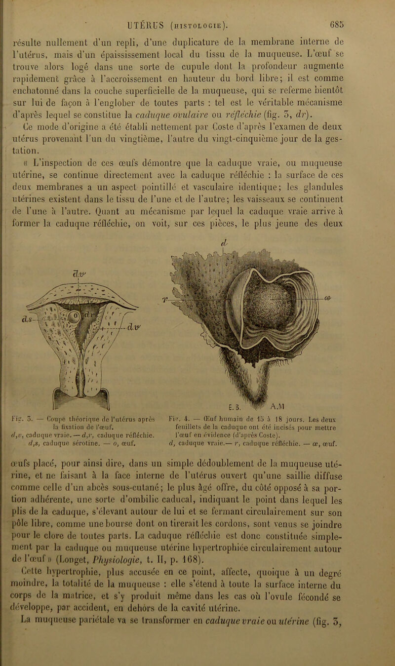résulte nullement d’un repli, d’une duplicature de la membrane interne de l’utérus, mais d’un épaississement local du tissu de la muqueuse. L’œuf se trouve alors logé dans une sorte de cupule dont la profondeur augmente rapidement grâce à l’accroissement en hauteur du bord libre; il est comme enchatonné dans la couche superficielle de la muqueuse, qui se referme bientôt sur lui de façon à l'englober de toutes parts : tel est le véritable mécanisme d’après lequel se constitue la caduque ovulaire ou réfléchie (fig. 5, dr). Ce mode d’origine a été établi nettement par Coste d’après l’examen de deux utérus provenant l’un du vingtième, l’autre du vingt-cinquième jour de la ges- tation. « L’inspection de ces œufs démontre que la caduque vraie, ou muqueuse utérine, se continue directement avec la caduque réfléchie : la surface de ces deux membranes a un aspect pointillé et vasculaire identique; les glandules utérines existent dans le tissu de l’une et de l’autre; les vaisseaux se continuent de l’une â l’autre. Quant au mécanisme par lequel la caduque vraie arrive à former la caduque réfléchie, on voit, sur ces pièces, le plus jeune des deux ch 1 i?. 5. — Coupe théorique de l’utérus après la fixation de l'œuf. d,v, caduque vraie. — d,r, caduque réfléchie. d,s, caduque sérotine. — o, œuf. Fi>r. 4. — Œuf humain de lo à 18 jours. Les deux feuillets de la caduque ont etc incisés pour mettre l’œuf en évidence (d’après Coste). d, caduque vraie.— r, caduque réfléchie. — ce, œuf. œufs placé, pour ainsi dire, dans un simple dédoublement de la muqueuse uté- rine, et ne faisant à la face interne de l’utérus ouvert qu’une saillie diffuse comme celle d’un abcès sous-cutané; le plus âgé offre, du côté opposé à sa por- tion adhérente, une sorte d’ombilic caducal, indiquant le point dans lequel les plis de la caduque, s’élevant autour de lui et se fermant circulairement sur son pôle libre, comme une bourse dont on tirerait les cordons, sont venus se joindre pour le clore de toutes parts. La caduque réfléchie est donc constituée simple- ment par la caduque ou muqueuse utérine hypertrophiée circulairement autour de l’œuf» (Longet, Physiologie, t. Il, p. 1G8). Cette hypertrophie, plus accusée en ce point, affecte, quoique à un degré moindre, la totalité de la muqueuse : elle s’étend â toute la surface interne du corps de la matrice, et s’y produit môme dans les cas où Loviilc fécondé se développe, par accident, en dehors de la cavité utérine. La muqueuse pariétale va se transformer en caduque vraie ou ulérine (fig. 5,