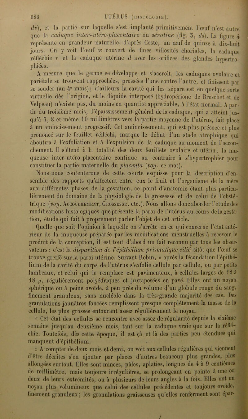 dv), et la partie sur laquelle s’est implanté primitivement l’œuf n’est autre que la caduque inter-uléro-placenlaire ou sérotine (fig. 3, ds). La figure 4 représente en grandeur naturelle, d’après Coste, un œuf de quinze à dix-huit jours. On y voit l’œuf œ couvert de fines villosités choriales, la caduque réfléchie r et la caduque utérine d avec les orifices des glandes hypertro- phiées. A mesure que le germe se développe et s’accroît, les caduques ovulaire et pariétale se trouvent rapprochées, pressées l’une contre l’autre, et finissent par se souder (au 4e mois) ; d’ailleurs la cavité qui les sépare est en quelque sorte virtuelle dès l’origine, et le liquide interposé (hydropérione de Breschet et de Velpeau) n’existe pas, du moins en quantité appréciable, à l’état normal. A par- tir du troisième mois, l’épaississement général de la caduque, qui a atteint jus- qu’à 7, 8 et même 10 millimètres vers la partie moyenne de l’utérus, fait place à un amincissement progressif. Cet amincissement, qui est plus précoce et plus prononcé sur le feuillet réfléchi, marque le début d'un stade atrophique qui aboutira à l’exfoliation et à l’expulsion de la caduque au moment de l’accou- chement. 11 s’étend à la totalité des deux feuillets ovulaire et utérin; la mu- queuse inter-utéro-placentaire continue au contraire à s’hypertrophier pour constituer la partie maternelle du placenta (voij. ce mot). Nous nous contenterons de cette courte esquisse pour la description d’en- semble des rapports qu’affectent entre eux le fruit et l’organisme de la mère aux différentes phases de la gestation, ce point d’anatomie étant plus particu- lièrement du domaine de la physiologie de la grossesse et de celui de l’obsté- trique (voy. Accouchement, Grossesse, etc.). Nous allons donc aborder l’étude des modifications histologiques que présente la paroi de l’utérus au cours de la gesta- tion, étude qui fait à proprement parler l’objet de cet article. Quelle que soit l’opinion à laquelle on s’arrête en ce qui concerne l’état anté- rieur de la muqueuse préparée par les modifications menstruelles à recevoir le produit de la conception, il est tout d’abord un fait reconnu par tous les obser- vateurs : c’est la disparition de Vépithélium prismatique cilié sitôt que l’œuf se trouve greffé sur la paroi utérine. Suivant Robin, « après la fécondation l’épithé- lium de la cavité du corps de l’utérus s’exfolie cellule par cellule, ou par petits lambeaux, et celui qui le remplace est pavimenteux, à cellules larges de 12 à 18 ix, régulièrement polyédriques et juxtaposées en pavé. Elles ont un noyau sphérique ou à peine ovoïde, à peu près du volume d’un globule rouge du sang, finement granuleux, sans nucléole dans la très-grande majorité des cas. Des granulations jaunâtres foncées remplissent presque complètement la masse de la cellule, les plus grosses entourant assez régulièrement le noyau. « Cet état des cellules se rencontre avec assez de régularité depuis la sixième semaine jusqu’au deuxième mois, tant sur la caduque vraie que sur la réflé- chie. Toutefois, dès cette époque, il est çà et là des parties peu étendues qui manquent d épithélium. « A compter de deux mois et demi, on voit aux cellules régulières qui viennent d’être décrites s’en ajouter par places d’autres beaucoup plus grandes, plus allongées surtout. Elles sont minces, pâles, aplaties, longues de 4 à 9 centièmes de millimètre, mais toujours irrégulières, se prolongeant en pointe à une ou deux de leurs extrémités, ou à plusieurs de leurs angles à la fois. Elles ont un noyau plus volumineux que celui des cellules précédentes et toujours ovoïde, finement granuleux; les granulations graisseuses qu’elles renferment sont épar- /