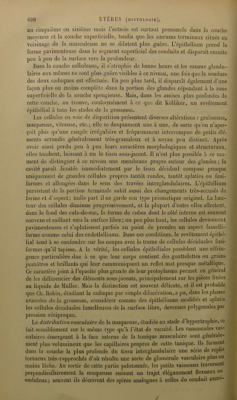au cinquième ou sixième mois l’ectasie est surtout prononcée dans la couche moyenne et la couche superficielle, tandis que les cæcums terminaux situés au voisinage de la musculeuse ne se dilatent plus guère. L’épithélium prend la forme pavimenteuse dans le segment superficiel des conduits et disparaît ensuite peu à peu de la surface vers la profondeur. Dans la couche celluleuse, il s’atrophie de bonne heure et les canaux glandu- laires eux-mêmes ne sont plus guère visibles à ce niveau, une fois que la soudure des deux caduques est effectuée. Un peu plus tard, il disparaît également d’une façon plus ou moins complète dans la portion des glandes répondant à la zone superficielle de la couche spongieuse. Mais, dans les assises plus profondes de cette couche, on trouve, conformément à ce que dit Kôlliker, un revêtement épithélial à tous les stades de la grossesse. Les cellules en voie de disparition présentent diverses altérations : graisseuse, muqueuse, vitreuse, etc.; elle se desquament une à une, de sorte qu’on n’aper- çoit plus qu’une rangée irrégulière et fréquemment interrompue de petits élé- ments arrondis généralement très-granuleux et à noyau peu distinct. Après avoir ainsi perdu peu à peu leurs caractères morphologiques et structuraux, elles tombent, laissant à nu le tissu sous-jacent. Il n’est plus possible à ce mo- ment de distinguer à ce niveau une membrane propre autour des glandes; la cavité paraît limitée immédiatement par le tissu décidual composé presque uniquement de grandes cellules propres tantôt rondes, tantôt aplaties ou fusi- formes et allongées dans le sens des travées interglandulaires. L’épithélium persistant de la portion terminale subit aussi des changements très-accusés de forme et d’aspect; nulle part il ne garde son type prismatique originel. La hau- teur des cellules diminue progressivement, et la plupart d’entre elles affectent, dans le fond des culs-de-sac, la forme de cubes dont le côté interne est souvent convexe et saillant vers la surface libre; un peu plus haut, les cellules deviennent pavimenteuses et s’aplatissent parfois au point de prendre un aspect lamelli- forme comme celui des endothéliums. Dans ces conditions, le revêtement épithé- lial tend à se confondre sur les coupes avec la trame de cellules déciduales fusi- formes qu’il tapisse. À la vérité, les cellules épithéliales possèdent une réfrin- gence particulière due à ce que leur corps contient des gouttelettes ou grains jaunâtres et brillants qui leur communiquent un reflet mat presque métallique. Ce caractère joint à l’opacité plus grande de leur protoplasma permet en général de les différencier des éléments sous-jacents, principalement sur les pièces fixées au liquide de Muller. Mais la distinction est souvent délicate, et il est probable que Ch. Robin, étudiant la caduque par simple dilacération, a pu, dans les phases avancées de la grossesse, considérer comme des épithéliums modifiés et aplatis les cellules déciduales lamelleuses de la surface libre, devenues polygonales par pression réciproque. La distribution vasculaire de la muqueuse, étudiée au stade d’hypertrophie, se fait sensiblement sur le même type qu’à l’état de vacuité. Les ramuscules vas- culaires émergeant à la face interne de la tunique musculaire sont générale- ment plus volumineux que les capillaires propres de cette tunique. Ils forment dans la couche la plus profonde du tissu interglandulaire une série de replis tortueux très-rapprochés d’où résulte une sorte de glomérule vasculaire plus ou moins lâche. Au sortir de cette partie pelotonnée, les petits vaisseaux traversent perpendiculairement la muqueuse suivant un trajet élégamment fiexueux ou onduleux; souvent ils décrivent des spires analogues à celles du conduit excre- /