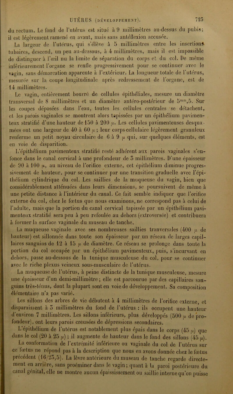 du rectum. Le fond de l’utérus est situé à 9 millimètres au-dessus du pubis; il est légèrement ramené en avant, mais sans antéflexion accusée. La largeur de l’utérus, qui s’élève à 5 millimètres entre les insertions tubaires, descend, un peu au-dessous, à 4 millimètres, mais il est impossible de distinguer à l’œil nu la limite de séparation du corps et du col. De même inférieurement l’organe se rende progressivement pour se continuer avec le vagin, sans démarcation apparente à l’extérieur. La longueur totale de l’utérus, mesurée sur la coupe longitudinale après redressement de l’organe, est de 14 millimètres. Le vagin, entièrement bourré de cellules épithéliales, mesure un diamètre transversal de 8 millimètres et un diamètre antéro-postérieur de 5ram,5. Sur les coupes déposées dans l’eau, toutes les cellules centrales se détachent, et les parois vaginales se montrent alors tapissées par un épithélium pavimen- teux stratifié d’une hauteur de 150 à 200 a. Les cellules pavimenteuses desqua- mées ont une largeur de 40 à 60 p. ; leur corps cellulaire légèrement granuleux renferme un petit noyau circulaire de 6 à 9 p qui, sur quelques éléments, est en voie de disparition. L’épithélium pavimenteux stratifié resté adhérent aux parois vaginales s’en- fonce dans le canal cervical à une profondeur de 5 millimètres. D’une épaisseur de 90 à 100 p, au niveau de l’orifice externe, cet épithélium diminue progres- sivement de hauteur, pour se continuer par une transition graduelle avec l’épi- thélium cylindrique du col. Les saillies de la muqueuse du vagin, bien que considérablement atténuées dans leurs dimensions, se poursuivent de même à une petite distance à l’intérieur du canal. Ce fait semble indiquer que l’orifice externe du col, chez le fœtus que nous examinons, ne correspond pas à celui de l’adulte, mais que la portion du canal cervical tapissée par un épithélium pavi- menteux stratifié sera peu à peu refoulée au dehors (extroversée) et contribuera à former la surface vaginale du museau de tanche. La muqueuse vaginale avec ses nombreuses saillies tranversales (400 p de hauteur) est sillonnée dans toute son épaisseur par un réseau de larges capil- laires sanguins de 12 à 15 p de diamètre. Ce réseau se prolonge dans toute la portion du col occupée par un épithélium pavimenteux, puis, s'incurvant en dehors, passe au-dessous de la tunique musculeuse du col, pour se continuer avec le riche plexus veineux sous-musculaire de l’utérus. La muqueuse de l’utérus, à peine distincte de la tunique musculeuse, mesure une épaisseur d’un demi-millimètre; elle est parcourue par des capillaires san- guins très-ténus, dont la plupart sont en voie de développement. Sa composition élémentaire n’a pas varié. Les sillons des arbres de vie débutent à 4 millimètres de l’orifice externe, et disparaissent à 5 millimètres du fond de l’utérus : ils occupent une hauteur d’environ 7 millimètres. Les sillons inférieurs, plus développés (500 p de pro- fondeur), ont leurs parois creusées de dépressions secondaires. L’épithélium de l’utérus est notablement plus épais dans le corps (45 p) que dans le col (20 à 25 p) ; il augmente de hauteur dans le fond des sillons (45 p). La conformation de l’extrémité inférieure ou vaginale du col de l’utérus sur ce foetus ne répond pas à la description que nous en avons donnée chez le fœtus précédent (16/25,5). La lèvre antérieure du museau de tanche regarde directe- ment en arrière, sans proéminer dans le vagin; quant à la paroi postérieure du canal génital, elle ne montre aucun épaississement ou saillie interne qu’on puisse