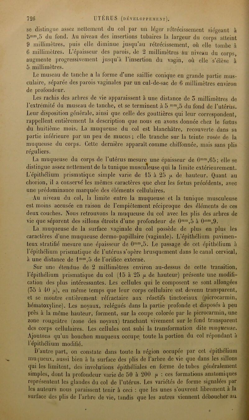 se distingue assez nettement du col par un léger rétrécissement siégeant à 5mm,5 du fond. Au niveau des insertions tubaires la largeur du corps atteint 9 millimètres, puis elle diminue jusqu’au rétrécissement, où elle tombe à C millimètres. L’épaisseur des parois, de 2 millimètres àu niveau du corps, augmente progressivement jusqu’à l’insertion du vagin, où elle s’élève à 5 millimètres. Le museau de tanche a la forme d’une saillie conique en grande partie mus- culaire, séparée des parois vaginales par un cul-de-sac de 6 millimètres environ de profondeur. Les rachis des arbres de vie apparaissent à une distance de 3 millimètres de l’extrémité du museau de tanche, et se terminent à 5 mtn,5 du fond de l’utérus. Leur disposition générale, ainsi que celle des gouttières qui leur correspondent, rappellent entièrement la description que nous en avons donnée chez le fœtus du huitième mois. La muqueuse du col est blanchâtre, recouverte dans sa partie inférieure par un peu de mucus ; elle tranche sur la teinte rosée de la muqueuse du corps. Cette dernière apparaît comme chiffonnée, mais sans plis réguliers. La muqueuse du corps de l’utérus mesure une épaisseur de 0mm,65; elle se distingue assez nettement de la tunique musculeuse qui la limite extérieurement. L’épithélium prismatique simple varie de 15 à 25 p de hauteur. Quant au chorion, il a conservé les mêmes caractères que chez les fœtus précédents, avec une prédominance marquée des éléments cellulaires. Au niveau du col, la limite entre la muqueuse et la tunique musculeuse est moins accusée en raison de l’empiétement réciproque des éléments de ces deux couches. Nous retrouvons la muqueuse du col avec les plis des arbres de vie que séparent des sillons étroits d’une profondeur de 0inm,5 à 0mm,9. La muqueuse de la surface vaginale du col possède de plus en plus les caractères d’une muqueuse dermo-papillaire (vaginale). L’épithélium pavimen- teux stratifié mesure une épaisseur de 0mm,5. Le passage de cet épithélium à l’épithélium prismatique de l’utérus s’opère brusquement dans le canal cervical, à une distance de lmm,5 de l’orifice externe. Sur une étendue de 2 millimètres environ au-dessus de cette transition, l’épithélium prismatique du col (15 à 25 p de hauteur) présente une modifi- cation des plus intéressantes. Les cellules qui le composent se sont allongées (35 à 40 p.), en même temps que leur corps cellulaire est devenu transparent, et se montre entièrement réfractaire aux réactifs tinctoriaux (picrocarmin, liématoxyline). Les noyaux, relégués dans la partie profonde et disposés à peu près à la même hauteur, forment, sur la coupe colorée par le picrocarmin, une zone rougeâtre (zone des noyaux) tranchant vivement sur le fond transparent des corps cellulaires. Les cellules ont subi la transformation dite muqueuse. Ajoutons qu’un bouchon muqueux occupe toute la portion du col répondant à l’épithélium modifié. D’autre part, on constate dans toute la région occupée par cet épithélium muqueux, aussi bien à la surface des plis de l’arbre de vie que dans les sillons qui les limitent, des involulions épithéliales en forme de tubes généralement simples, dont la profondeur varie de 50 à 200 p : ces formations anatomiques représentent les glandes du col de l’utérus. Les variétés de forme signalées par les auteurs nous paraissent tenir à ceci : que les unes s’ouvrent librement à la surface des plis de l’arbre de vie, tandis que les autres viennent déboucher au