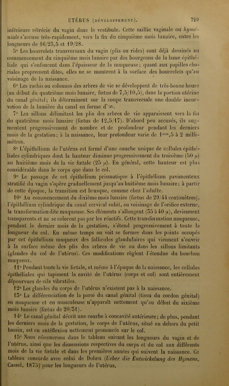 inférieure rétrécie du vagin dans le vestibule. Cette saillie vaginale ou hyme- niale s’accuse très-rapidement, vers la fin du cinquième mois lunaire, entre les longueurs de 16/25,5 et 19/28. 5° Les bourrelets transversaux du vagin (plis ou rides) sont déjà dessinés au commencement du cinquième mois lunaire par des bourgeons de la lame épithé- liale qui s’enfoncent dans l’épaisseur de la muqueuse; quant aux papilles cho- riales proprement dites, elles ne se montrent à la surface des bourrelets qu’au voisinage de la naissance. 6° Les rachis ou colonnes des arbres de vie se développent de très-bonne heure (au début du quatrième mois lunaire, fœtus de 7,5/10,5), dans la portion utérine du canal génital; ils déterminent sur la coupe transversale une double incur- vation de la lumière du canal en forme d’ ^. 7° Les sillons délimitant les plis des arbres de vie apparaissent vers la fin du quatrième mois lunaire (fœtus de 12,5/17). D’abord peu accusés, ils aug- mentent progressivement de nombre et de profondeur pendant les derniers mois de la gestation; à la naissance, leur profondeur varie de lu,5 à 2 milli- mètres. 8° L’épithélium de l’utérus est formé d’une couche unique de cellules épithé- liales cylindriques dont la hauteur diminue progressivement du troisième (50 y) au huilième mois de la vie fœtale (25 y). En général, cette hauteur est plus considérable dans le corps que dans le col. 9° Le passage de cet épithélium prismatique à l’épithélium pavimenteux stratifié du vagin s’opère graduellement jusqu’au huitième mois lunaire; à partir de cette époque, la transition est brusque, comme chez l’adulte. 10° Au commencement du dixième mois lunaire (fœtus de 29/44 centimètres), l’épithélium cylindrique du canal cervical subit, au voisinage de l’orifice externe, la transformation dite muqueuse. Ses éléments s’allongent (35 à 40 p), deviennent transparents et ne se colorent pas par les réactifs. Cette transformation muqueuse, pendant le dernier mois de la gestation, s’étend progressivement à toute la longueur du col. En même temps on voit se former dans les points occupés par cet épithélium muqueux des follicules glandulaires qui viennent s’ouvrir à la surface même des plis des arbres de vie ou dans les sillons limitants (glandes du col de l’utérus). Ces modifications règlent l'étendue du bouchon muqueux. 11° Pendant toute la vie fœtale, et même à l’époque de la naissance, les cellules épithéliales qui tapissent la cavité de l’utérus (corps et col) sont entièrement dépourvues de cils vibratiles. 12° Les glandes du corps de l’utérus n’existent pas à la naissance. 13° La différenciation de la paroi du canal génital (tissu du cordon génital) en muqueuse et en musculeuse n’apparaît nettement qu’au début du sixième mois lunaire (fœtus de 20/31). 14° Le canal génital décrit une courbe ii concavité antérieure; de plus, pendant les derniers mois de la gestation, le corps de l’utérus, situé en dehors du petit bassin, est en antéfiexion nettement prononcée sur le col. 15° Nous résumerons dans le tableau suivant les longueurs du vagin et de l’utérus, ainsi que les dimensions respectives du corps et. du col aux différents mois de la vie fœtale et dans les premières années qui suivent la naissance. Ce tableau concorde avec celui de Dohrn (Ueber die Entwickelung des Hymens, Cassel, 1875) pour les longueurs de l’utérus.