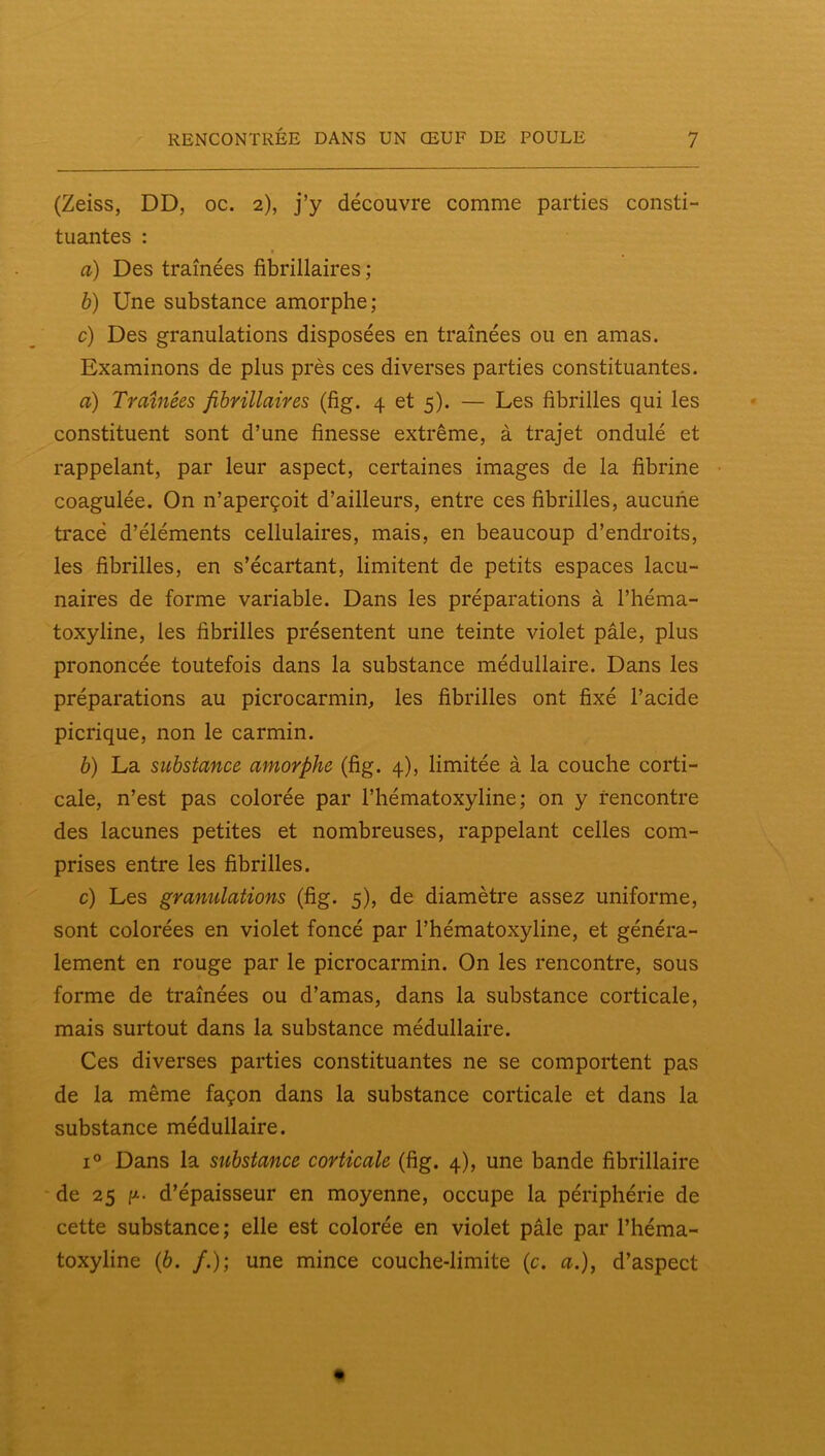 (Zeiss, DD, oc. 2), j’y découvre comme parties consti- tuantes : a) Des traînées fibrillaires ; b) Une substance amorphe; c) Des granulations disposées en traînées ou en amas. Examinons de plus près ces diverses parties constituantes. a) Traînées fibrillaires (fig. 4 et 5). — Les fibrilles qui les constituent sont d’une finesse extrême, à trajet ondulé et rappelant, par leur aspect, certaines images de la fibrine coagulée. On n’aperçoit d’ailleurs, entre ces fibrilles, aucune tracé d’éléments cellulaires, mais, en beaucoup d’endroits, les fibrilles, en s’écartant, limitent de petits espaces lacu- naires de forme variable. Dans les préparations à l’héma- toxyline, les fibrilles présentent une teinte violet pâle, plus prononcée toutefois dans la substance médullaire. Dans les préparations au picrocarmin, les fibrilles ont fixé l’acide picrique, non le carmin. b) La substance amorphe (fig. 4), limitée à la couche corti- cale, n’est pas colorée par l’hématoxyline ; on y rencontre des lacunes petites et nombreuses, rappelant celles com- prises entre les fibrilles. c) Les granulations (fig. 5), de diamètre assez uniforme, sont colorées en violet foncé par l’hématoxyline, et généra- lement en rouge par le picrocarmin. On les rencontre, sous forme de traînées ou d’amas, dans la substance corticale, mais surtout dans la substance médullaire. Ces diverses parties constituantes ne se comportent pas de la même façon dans la substance corticale et dans la substance médullaire. 1° Dans la stibstance corticale (fig. 4), une bande fibrillaire ' de 25 fA- d’épaisseur en moyenne, occupe la périphérie de cette substance; elle est colorée en violet pâle par l’héma- toxyline (6. /.); une mince couche-limite (c. a.), d’aspect