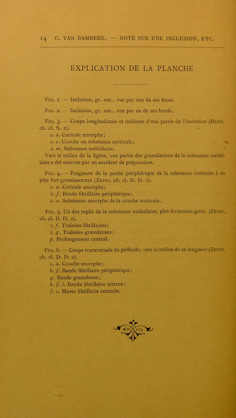 EXPLICATION DE LA PLANCHE Fig. I. — Inclusion, gr. nat., vue par une de ses faces. Fig. 2. — Inclusion, gr. nat., vue par un de ses bords. Fig. 3. — Coupe longitudinale et médiane d’une partie de l’inclusion (Hrtn. ch. cl. S. 2). c. a. Cuticule amorphe ; c. c. Couche ou substance corticale ; ' - s. m. Substance médullaire. • Vers le milieu de la figure, une partie des granulations de la substance médul- laire a été enlevée par un accident de préparation. Fig. 4. — Fragment de la partie périphérique de la substance corticale à un plus fort grossissement (Zeiss, ch. cl. D. D. 2). c. a. Cuticule amorphe; b. f. Bande fibrillaire périphérique; s. a. Substance amorphe de la couche corticale. Fig. 5. Un des replis de la substance médullaire, plus fortement grossi (Zeiss, ch. cl. D. D. 2). t. f. Traînées fibrillaires ; t. g. Traînées granuleuses ; p. Prolongement central. Fig. 6. — Coupe transversale du pédicule, vers le milieu de sa longueur (Zeiss, ch. cl. D. D. 2). c. a. Couche amorphe ; b. f. Bande fibrillaire périphérique ; g. Bande granuleuse; b. f. i. Bande fibrillaire interne ; /. c. Masse fibrillaire centrale.