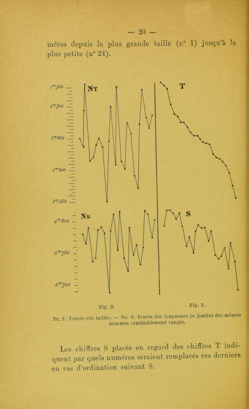niéros depuis la plus grande taille (n“ 1) jusqu’à la plus petite (n° 24). Fig. 2. 3- Kt. T. Traces des tailles. - Ns. S. Tracés des longueurs de jamles des mêmes hommes scmblablemenl i anges. Les chiffres S placés en regard des chiffres T indi- quent par quels numéros seraient remplacés ces derniers en cas d’ordination suivant S.