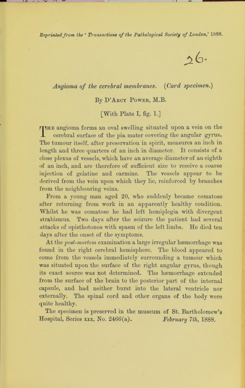 Reprinted from the ‘ Transactions of the Pathological Society of London,’ 1888. Angioma of the cerebral membranes. (Card specimen.) By D’Arcy Power, M.B. [With Plate I, fig. 1.] IIhe angioma forms an oval swelling situated upon a vein on the cerebral surface of the pia mater covering the angular gyrus. The tumour itself, after preservation in spirit, measures an inch in length and three quarters of an inch in diameter. It consists of a close plexus of vessels, which have an average diameter of an eighth of an inch, and are therefore of sufficient size to receive a coarse injection of gelatine and carmine. The vessels appear to be derived from the vein upon which they lie, reinforced by branches from the neighbouring veins. From a young man aged 20, who suddenly became comatose after returning from work in an apparently healthy condition. Whilst he was comatose he had left hemiplegia with divergent strabismus. Two days after the seizure the patient had several attacks of opisthotonos with spasm of the left limbs. He died ten days after the onset of the symptoms. At the post-mortem examination a large irregular haemorrhage was found in the right cerebral hemisphere. The blood appeared to come from the vessels immediately surrounding a tumour which was situated upon the surface of the right angular gyrus, though its exact source was not determined. The haemorrhage extended from the surface of the brain to the posterior part of the internal capsule, and had neither burst into the lateral ventricle nor externally. The spinal cord and other organs of the body were quite healthy. The specimen is preserved in the museum of St. Bartholomew’s Hospital, Series xxx, No. 2466(a). February 7th, 1888.