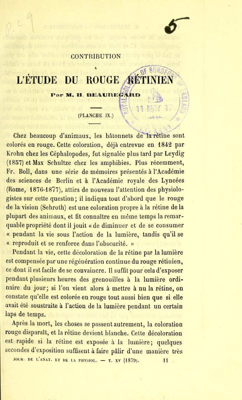 CONTRIBUTION L’ÉTUDE DU ROUGE ÆSy Par M. H. BEAURElfi»faf' (PLANCHE IX.) Chez beaucoup d’animaux, les bâtonnets de la rétine sont colorés en rouge. Cette coloration, déjà entrevue en 1842 par Krohn chez les Céphalopodes, fut signalée plus tard par Leydig (1857) et Max Schultze chez les amphibies. Plus récemment, Fr. Boll, dans une série de mémoires présentés à PÀcadémie des sciences de Berlin et à l’Académie royale des Lyncées (Rome, 1876-1877), attira de nouveau l’attention des physiolo- gistes sur cette question; il indiqua tout d’abord que le rouge de la vision (Sehroth) est une coloration propre à la rétine de la plupart des animaux, et fit connaître en même temps la remar- quable propriété dont il jouit «de diminuer et de se consumer « pendant la vie sous l’action de la lumière, tandis qu’il se « reproduit et se renforce dans l’obscurité. » Pendant la vie, cette décoloration de la rétine par la lumière est compensée par une régénération continue du rouge rétinien, ce dont il est facile de se convaincre. Il suffit pour cela d’exposer pendant plusieurs heures des grenouilles à la lumière ordi- naire du jour; si l’on vient alors à mettre à nu la rétine, on constate qu’elle est colorée en rouge tout aussi bien que si elle avait été soustraite à l’action de la lumière pendant un certain laps de temps. Après la mort, les choses se passent autrement, la coloration rouge disparaît, et la rétine devient blanche. Cette décoloration est rapide si la rétine est exposée à la lumière ; quelques secondes d’exposition suffisent à faire pâlir d’une manière très JOUR- DE l’aNAT. et DE LA PI1YS10L. — T. XV (1879). 11