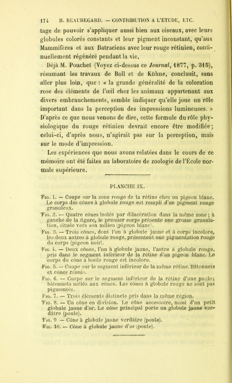 tage de pouvoir s’appliquer aussi bien aux oiseaux, avec leurs globules colorés constants et leur pigment inconstant, qu’aux Mammifères et aux Batraciens avec leur rouge rétinien, conti- nuellement régénéré pendant la vie. Déjà M. Pouchet (Voyez ci-dessus ce Journal, 1877, p. 315), résumant les travaux de Boll et de Kühne, concluait, sans aller plus loin, que : « la grande généralité de la coloration rose des éléments de l’œil chez les animaux appartenant aux divers embranchements, semble indiquer qu’elle joue un rôle important dans la perception des impressions lumineuses. » D’après ce que nous venons de dire, cette formule du rôle phy- siologique du rouge rétinien devrait encore être modifiée; celui-ci, d’après nous, n’agirait pas sur la perception, mais sur le mode d’impression. Les expériences que nous avons relatées dans le cours de ce mémoire ont été faites au laboratoire de zoologie de l’École nor- male supérieure. PLANCHE IX. Fig. 1. — Coupe sur la zone rouge de la rétine chez un pigeon blanc. Le corps des cônes à globule rouge est rempli d’un pigment rouge granuleux. 'Fig. 2. — Quatre cônes isolés par dilacération dans la même zone ; à gauche de la figure, le premier corps présente une grosse granula- tion, située vers son milieu (pigeon blanc). Fig. 3. — Trois cônes, dont lTm à globule jaune et à corps incolore, les deux autres à globule rouge, présentent une pigmentation rouge du corps (pigeon noir). Fig. 4. — Deux cônes, l’un à globule jaune, l’autre à globule rouge, pris dans le segment inférieur de la rétine d’un pigeon blanc. Le corps du cône à boule rouge est incolore. Fig. 5. — Coupe sur le segment inférieur de la même rétine. Bâtonnets et cônes réunis. Fig. 6. — Coupe sur le segment inférieur de la rétine d’une poule; bâtonnets mêlés aux cônes. Les cônes à globule rouge ne sont pas pigmentés. Fig. 7. — Trois éléments distincts pris dans la même région. Fig. 8. — Un cône en division. Le cône accessoire, muni d’un petit globule jaune d’or. Le cône principal porte un globule jaune ver- dâtre (poule). Fig. 9. — Cône à globule jaune verdâtre (poule). Fig. 10. — Cône â globule jaune d’or (poule).