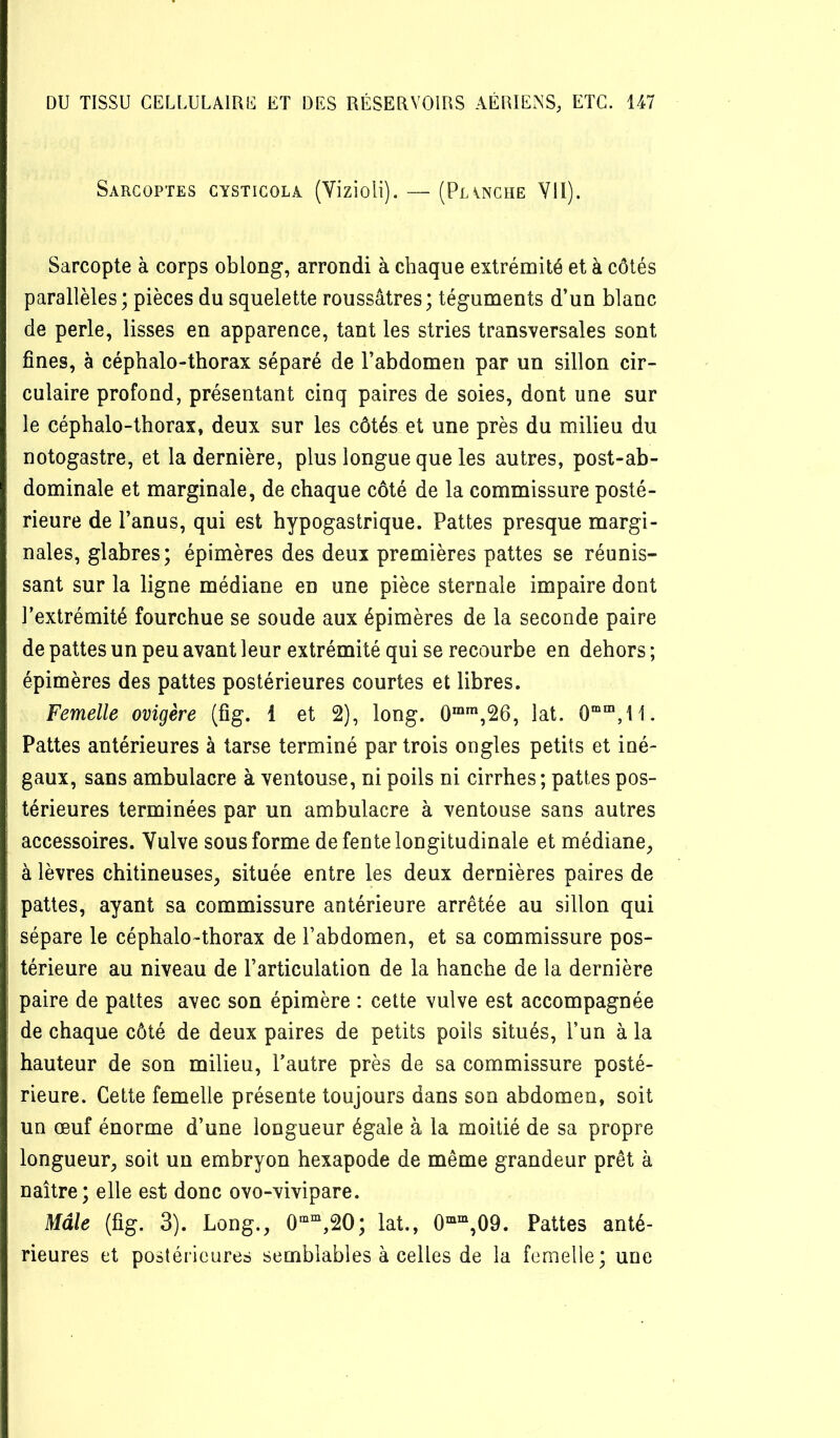 Sarcoptes cysticolâ (Vizioli). — (Pianciie Yll). Sarcopte à corps oblong, arrondi à chaque extrémité et à côtés parallèles; pièces du squelette roussâtres; téguments d’un blanc de perle, lisses en apparence, tant les stries transversales sont fines, à céphalo-thorax séparé de l’abdomen par un sillon cir- culaire profond, présentant cinq paires de soies, dont une sur le céphalo-thorax, deux sur les côtés et une près du milieu du notogastre, et la dernière, plus longue que les autres, post-ab- dominale et marginale, de chaque côté de la commissure posté- rieure de l’anus, qui est hypogastrique. Pattes presque margi- nales, glabres; épimères des deux premières pattes se réunis- sant sur la ligne médiane en une pièce sternale impaire dont l’extrémité fourchue se soude aux épimères de la seconde paire de pattes un peu avant leur extrémité qui se recourbe en dehors; épimères des pattes postérieures courtes et libres. Femelle ovigère (fig. 1 et 2), long. 0“‘,26, lat. Pattes antérieures à tarse terminé par trois ongles petits et iné- gaux, sans ambulacre à ventouse, ni poils ni cirrhes; pattes pos- térieures terminées par un ambulacre à ventouse sans autres accessoires. Vulve sous forme de fente longitudinale et médiane, à lèvres chitineuses, située entre les deux dernières paires de pattes, ayant sa commissure antérieure arrêtée au sillon qui sépare le céphalo-thorax de l’abdomen, et sa commissure pos- térieure au niveau de l’articulation de la hanche de la dernière paire de pattes avec son épimère : cette vulve est accompagnée de chaque côté de deux paires de petits poils situés, l’un à la hauteur de son milieu, l’autre près de sa commissure posté- rieure. Cette femelle présente toujours dans son abdomen, soit un œuf énorme d’une longueur égale à la moitié de sa propre longueur, soit un embryon hexapode de même grandeur prêt à naître; elle est donc ovo-vivipare. Mâle (fig. 3). Long., 0““,20; lat., 0““,09. Pattes anté- rieures et postérieures semblables à celles de la femelle; une