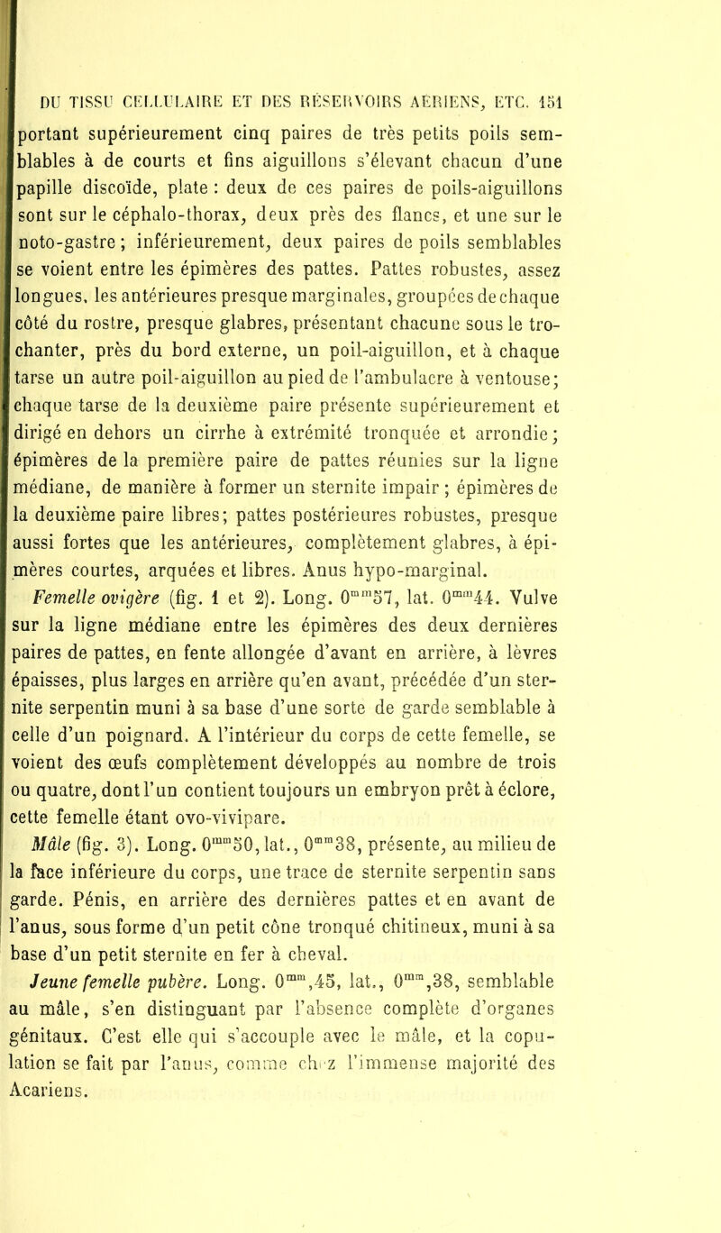 portant supérieurement cinq paires de très petits poils sem- blables à de courts et fins aiguillons s’élevant chacun d’une papille discoïde, plate : deux de ces paires de poils-aiguillons sont sur le céphalo-thorax, deux près des flancs, et une sur le noto-gastre ; inférieurement, deux paires de poils semblables se voient entre les épimères des pattes. Pattes robustes, assez longues, les antérieures presque marginales, groupées de chaque côté du rostre, presque glabres, présentant chacune sous le tro- chanter, près du bord externe, un poil-aiguillon, et à chaque tarse un autre poil-aiguillon au pied de Tambulacre à ventouse; chaque tarse de la deuxième paire présente supérieurement et dirigé en dehors un cirrhe à extrémité tronquée et arrondie ; épimères de la première paire de pattes réunies sur la ligne médiane, de manière à former un sternite impair ; épimères de la deuxième paire libres; pattes postérieures robustes, presque aussi fortes que les antérieures, complètement glabres, à épi- mères courtes, arquées et libres. Anus hypo-marginal. Femelle ovigère (fig. 1 et 2). Long. lat. 0“‘“44. Vulve sur la ligne médiane entre les épimères des deux dernières 3aires de pattes, en fente allongée d’avant en arrière, à lèvres épaisses, plus larges en arrière qu’en avant, précédée d’un ster- nite serpentin muni à sa base d’une sorte de garde semblable à celle d’un poignard. A l’intérieur du corps de cette femelle, se voient des œufs complètement développés au nombre de trois ou quatre, dont F un contient toujours un embryon prêt à éclore, cette femelle étant ovo-vivipare. Mâle (fig. 3). Long. 0““50, lat., 0“™38, présente, au milieu de la face inférieure du corps, une trace de sternite serpentin sans garde. Pénis, en arrière des dernières pattes et en avant de l’anus, sous forme d’un petit cône tronqué chitineux, muni à sa base d’un petit sternite en fer à cheval. Jeune femelle pubère. Long. 0““,45, lat,, 0““,38, semblable au mâle, s’en distinguant par l’absence complète d’organes génitaux. C’est elle qui s’accouple avec le mâle, et la copu- lation se fait par Fanns, comme chi Z Fimmense majorité des Acariens.