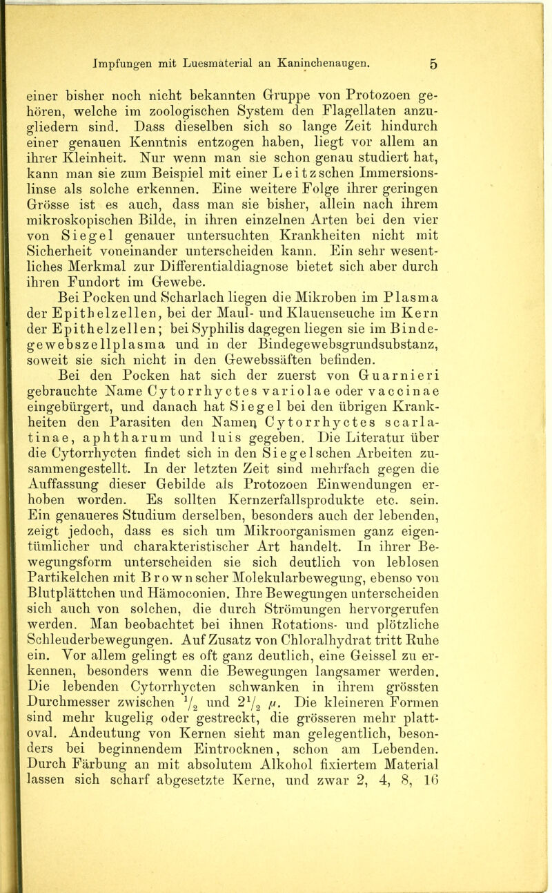 einer bisher noch nicht bekannten Giruppe von Protozoen ge- hören, welche im zoologischen System den Flagellaten anzu- gliedern sind. Dass dieselben sich so lange Zeit hindurch einer genauen Kenntnis entzogen haben, liegt vor allem an ihrer Kleinheit. Nur wenn man sie schon genau studiert hat, kann man sie zum Beispiel mit einer L e i t z sehen Immersions- linse als solche erkennen. Eine weitere Folge ihrer geringen Grösse ist es auch, dass man sie bisher, allein nach ihrem mikroskopischen Bilde, in ihren einzelnen Arten bei den vier von Siegel genauer untersuchten Krankheiten nicht mit Sicherheit voneinander unterscheiden kann. Ein sehr wesent- liches Merkmal zur Differentialdiagnose bietet sich aber durch ihren Fundort im Gewebe. Bei Pocken und Scharlach liegen die Mikroben im Plasma der Epithelzellen, bei der Maul- und Klauenseuche im Kern der Epithelzellen; bei Syphilis dagegen liegen sie im Binde- gewebszellplasma und in der Bindegewebsgrundsubstanz, soweit sie sich nicht in den Gewebssäften befinden. Bei den Pocken hat sich der zuerst von Guarnieri gebrauchte Name Cytorrhyetes variolae oder vaccinae eingebürgert, und danach hat Siegel bei den übrigen Krank- heiten den Parasiten den Namerj Cytorrhyetes scarla- tinae, aphtharum und luis gegeben. Die Literatur über die Cytorrhyeten findet sich in den Siegel sehen Arbeiten zu- sammengestellt. In der letzten Zeit sind mehrfach gegen die Auffassung dieser Gebilde als Protozoen Einwendungen er- hoben worden. Es sollten Kernzerfallsprodukte etc. sein. Ein genaueres Studium derselben, besonders auch der lebenden, zeigt jedoch, dass es sich um Mikroorganismen ganz eigen- tümlicher und charakteristischer Art handelt. In ihrer Be- wegungsform unterscheiden sie sich deutlich von leblosen Partikelchen mit Brown scher Molekularbewegung, ebenso von Blutplättchen und Hämoconien. Ihre Bewegungen unterscheiden sich auch von solchen, die durch Strömungen hervorgerufen werden. Man beobachtet bei ihnen Eotations- und plötzliche Schleuderbewegungen. Auf Zusatz von Chloralhydrat tritt Buhe ein. Vor allem gelingt es oft ganz deutlich, eine Geissei zu er- kennen, besonders wenn die Bewegungen langsamer werden. Die lebenden Cytorrhyeten schwanken in ihrem grössten Durchmesser zwischen 7^ ^V2 kleineren Formen sind mehr kugelig oder gestreckt, die grösseren mehr platt- oval. Andeutung von Kernen sieht man gelegentlich, beson- ders bei beginnendem Eintrocknen, schon am Lebenden. Durch Färbung an mit absolutem Alkohol fixiertem Material lassen sich scharf abgesetzte Kerne, und zwar 2, 4, 8, 16