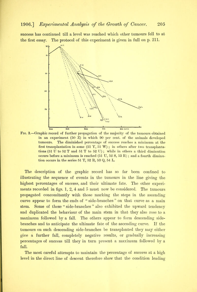 success has continued till a level was reached which other tumours fell to at the first essay. The protocol of this experiment is given in full on p. 211. Fig. 3.—Graphic record of further propagation of the majority of the tumours obtained in an experiment (50 Z) in which 90 per cent, of the animals developed tumours. The diminished percentage of success reaches a minimum at the first transplantation in some (51 Y, 51 W) ; in others after two transplanta- tions (51 U to 52 T and 51 T to 52 U) ; while in others a third diminution occurs before a minimum is reached (51 U, 52 S, 53 E) ; and a fourth diminu- tion occurs in the series 51 T, 52 E, 53 Q, 54 L. The description of the graphic record has so far been confined to illustrating the sequence of events in the tumours in the line giving the highest percentages of success, and their ultimate fate. The other experi- ments recorded in figs. 1, 2, 4 and 5 must now be considered. The tumours propagated concomitantly with those marking the steps in the ascending curve appear to form the ends of “ side-branches ” on that curve as a main stem. Some of these “ side-branches ” also exhibited the upward tendency and duplicated the behaviour of the main stem in that they also rose to a maximum followed by a fall. The others appear to form descending side- branches and to anticipate the ultimate fate of the ascending curve. If the tumours on such descending side-branches be transplanted they may either give a further fall, completely negative results, or gradually increasing percentages of success till they in turn present a maximum followed by a fall. The most careful attempts to maintain the percentage of success at a high level in the direct line of descent therefore show that the condition leading